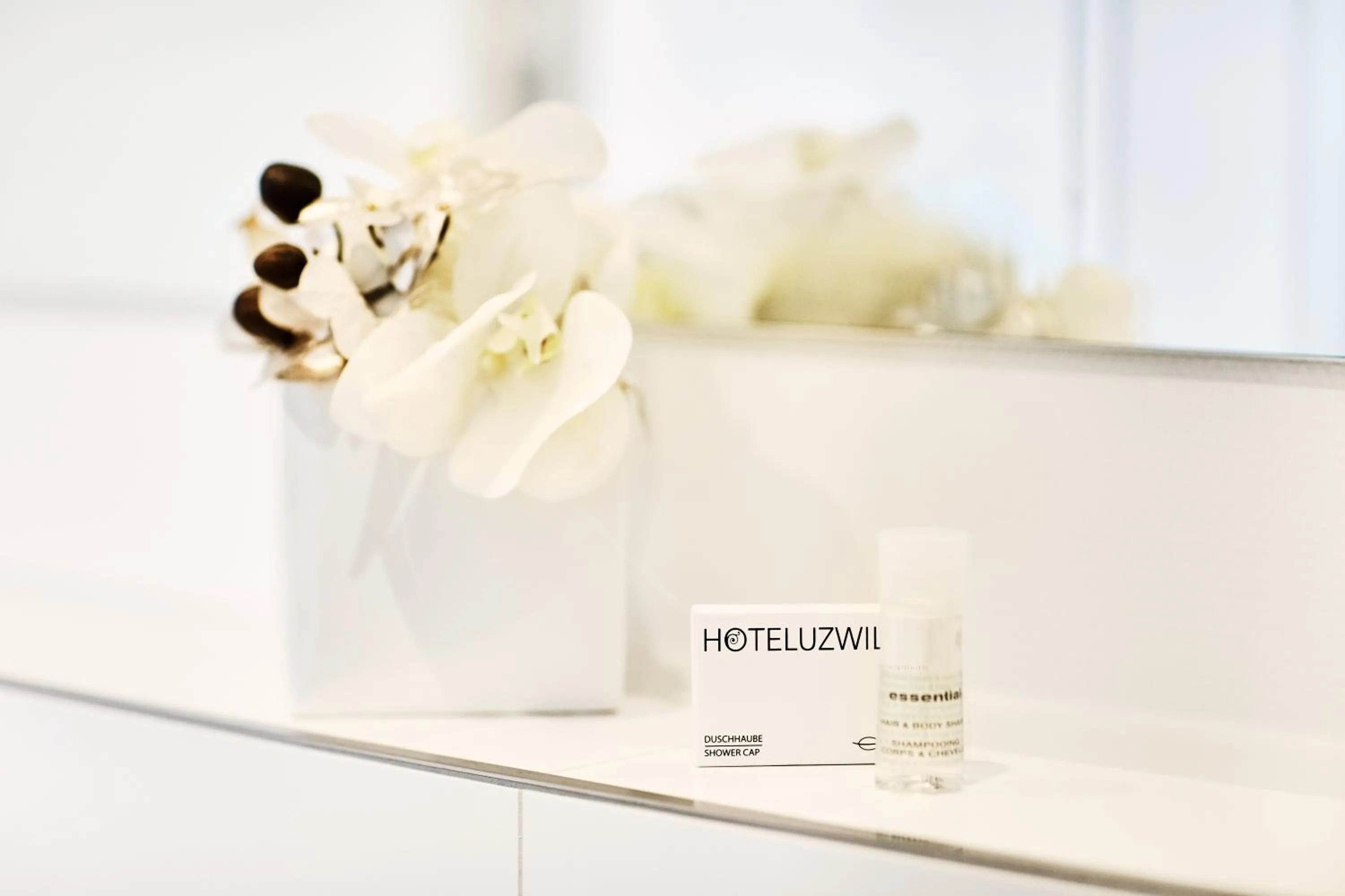 Photo of the whole room in Hotel Schäfli