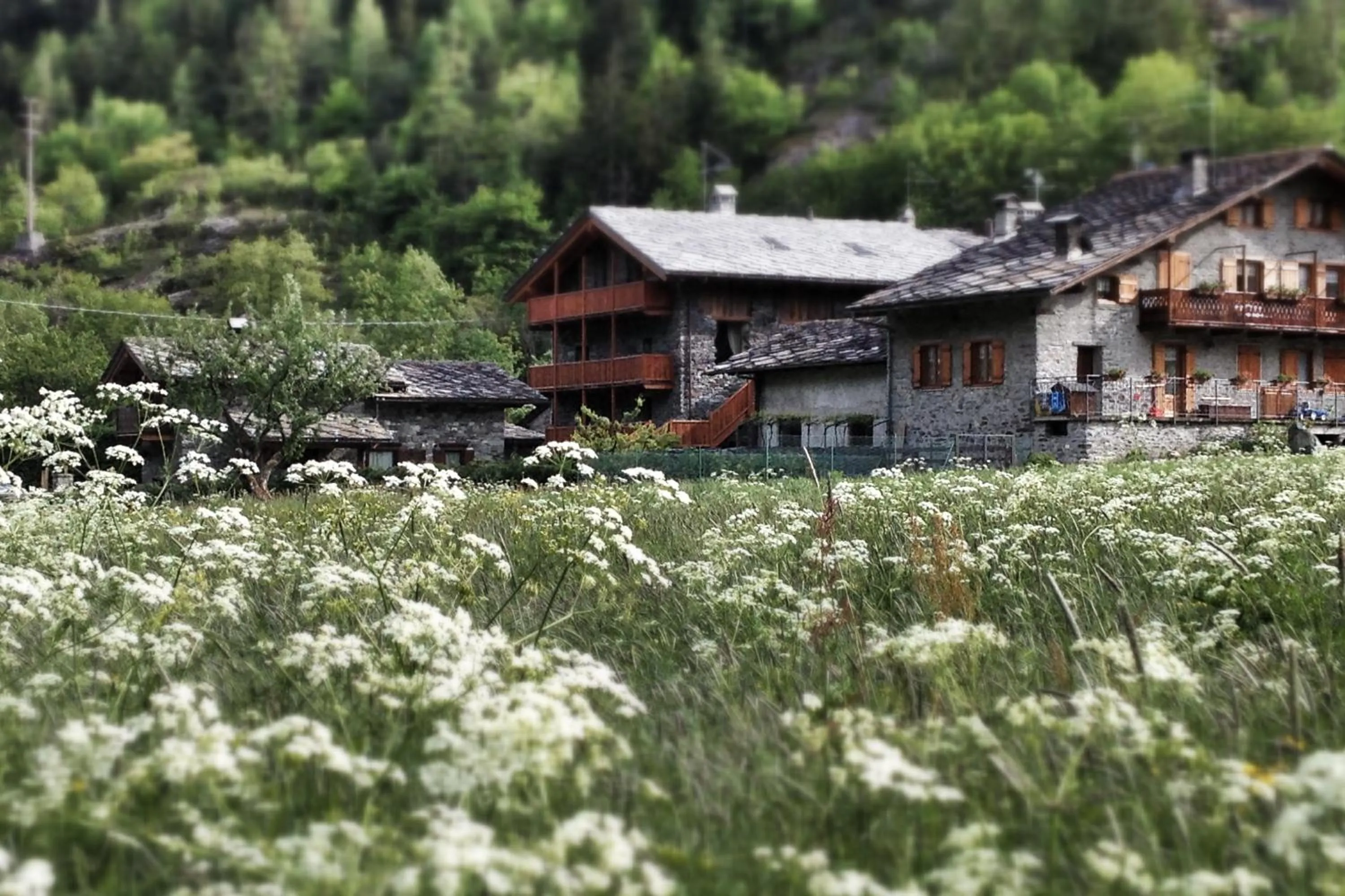 Property building in Le Petit Coeur Residence De Montagne