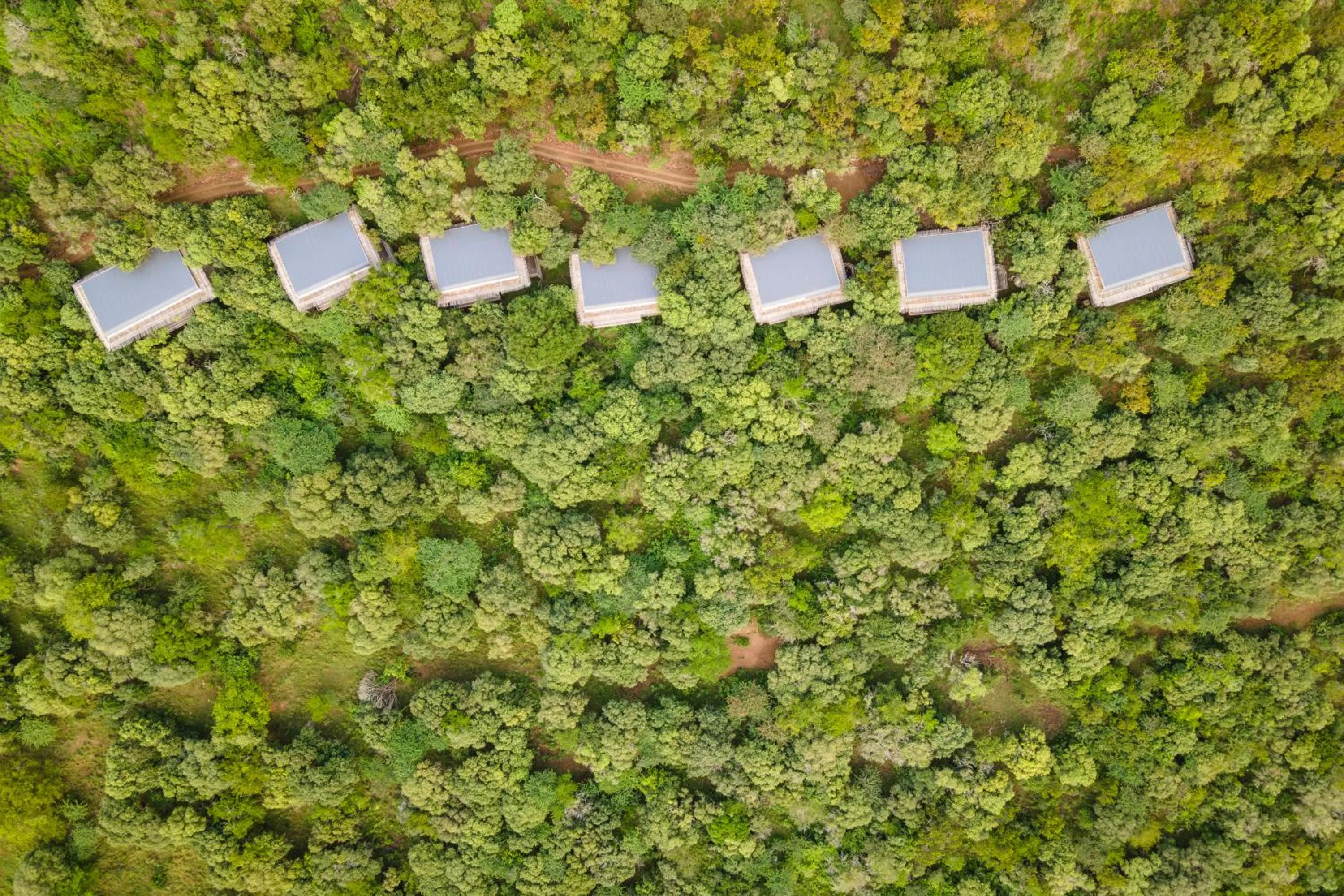Bedroom in Sungulwane Private Game Lodge