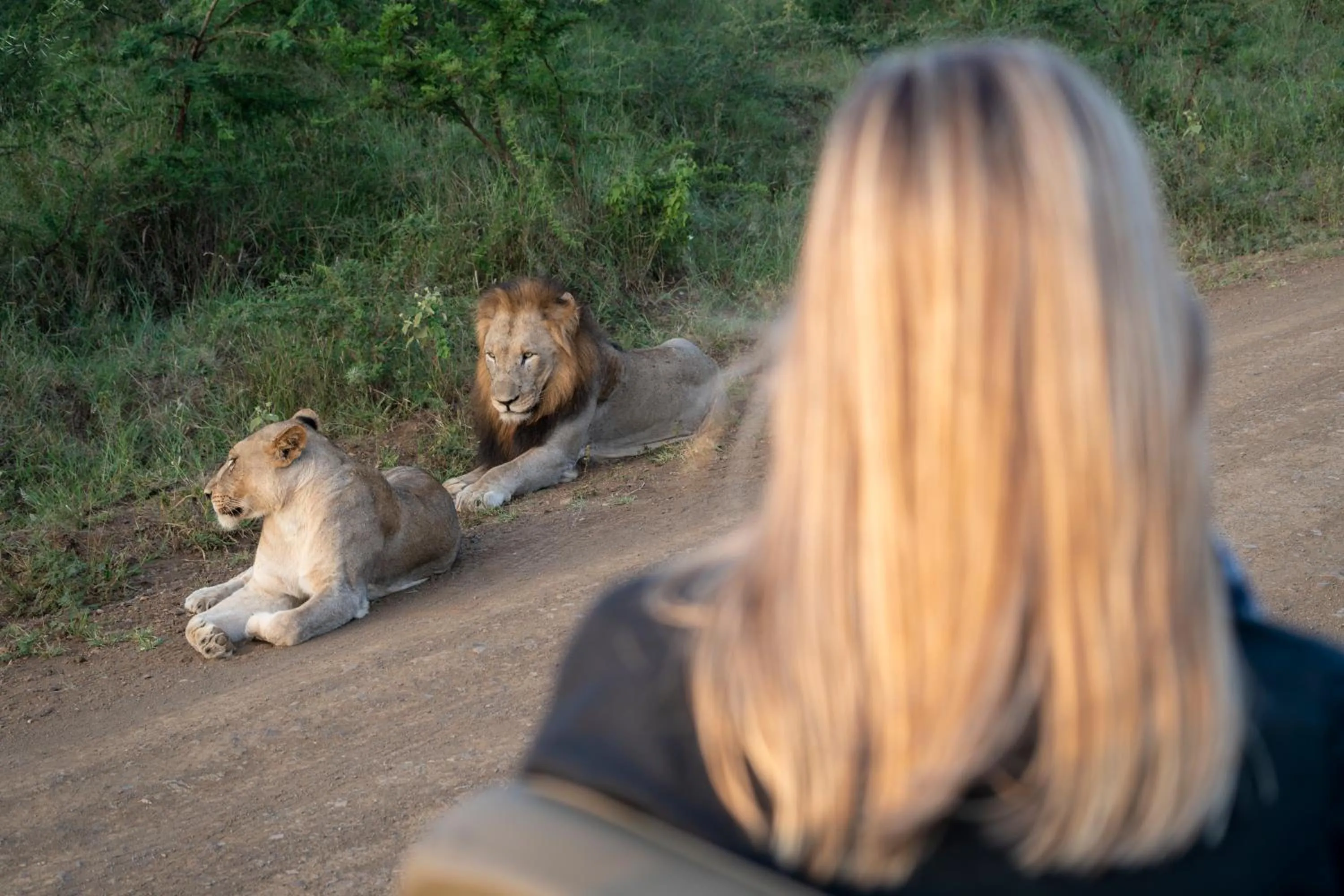 Animals in Sungulwane Private Game Lodge