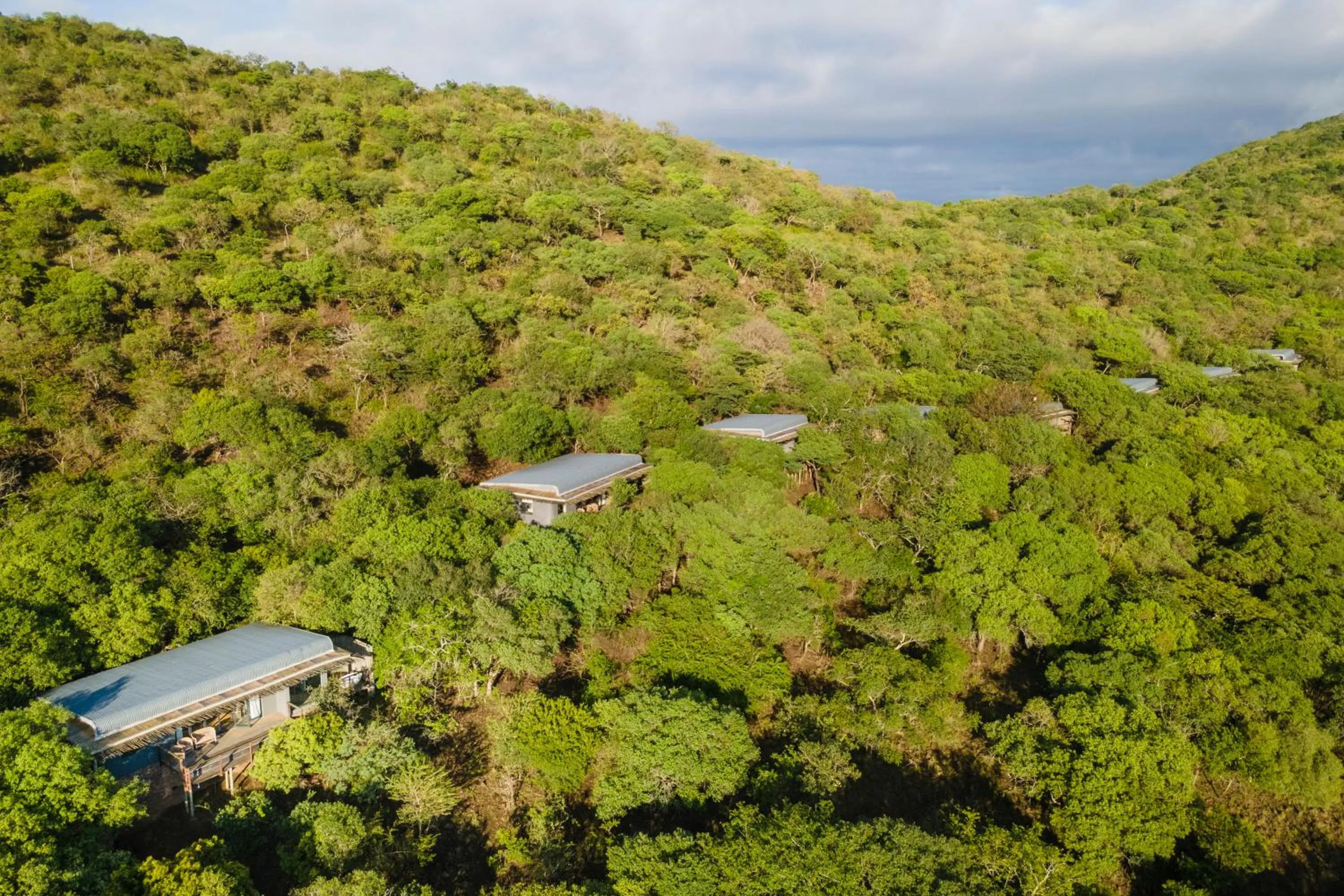 Natural landscape in Sungulwane Private Game Lodge