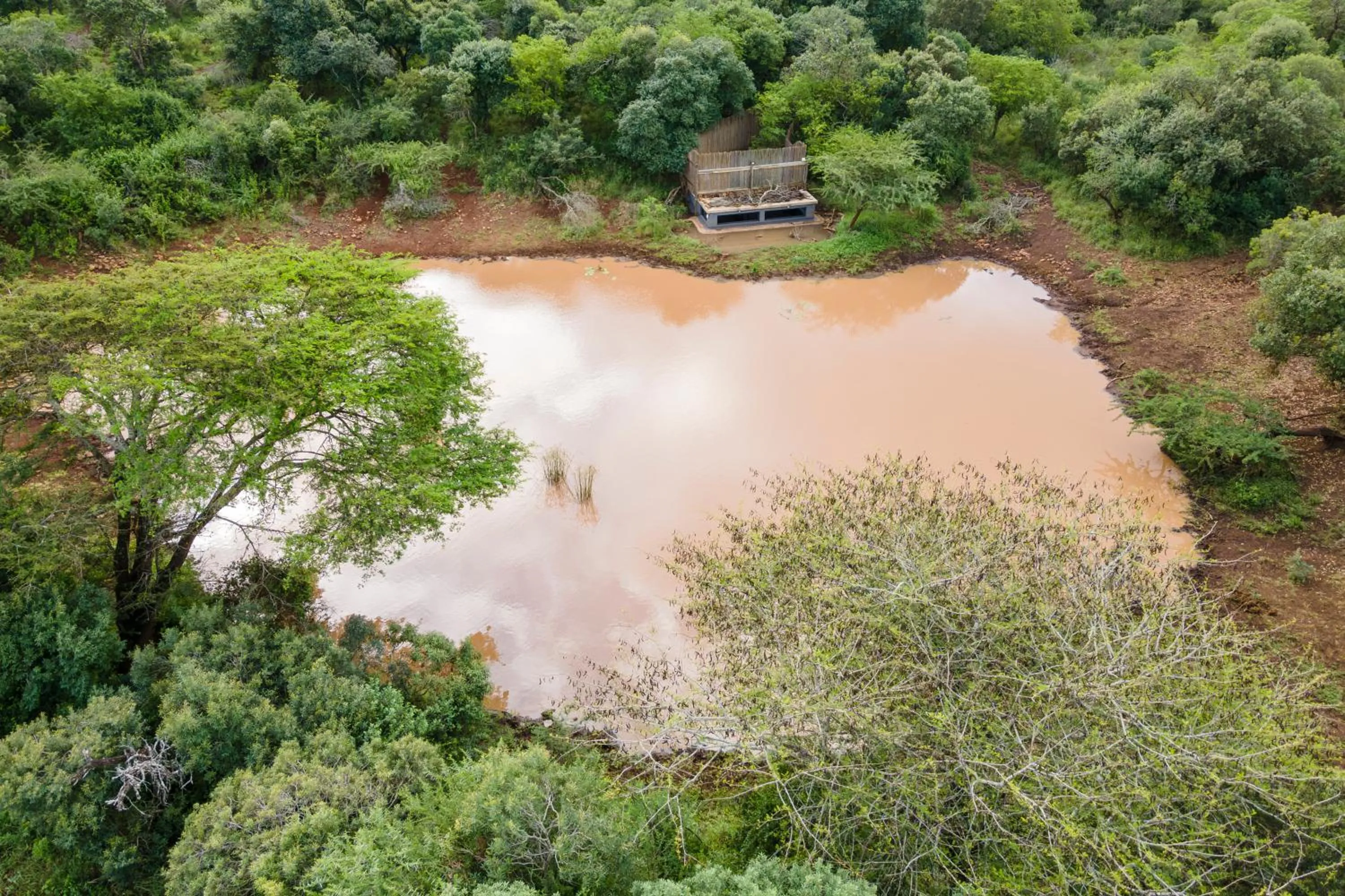 View (from property/room) in Sungulwane Private Game Lodge