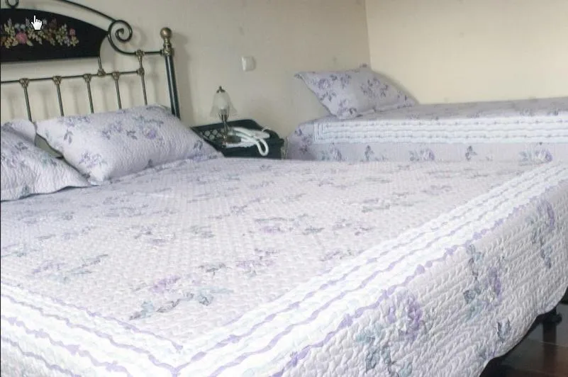 Bed in Hotel Dryades