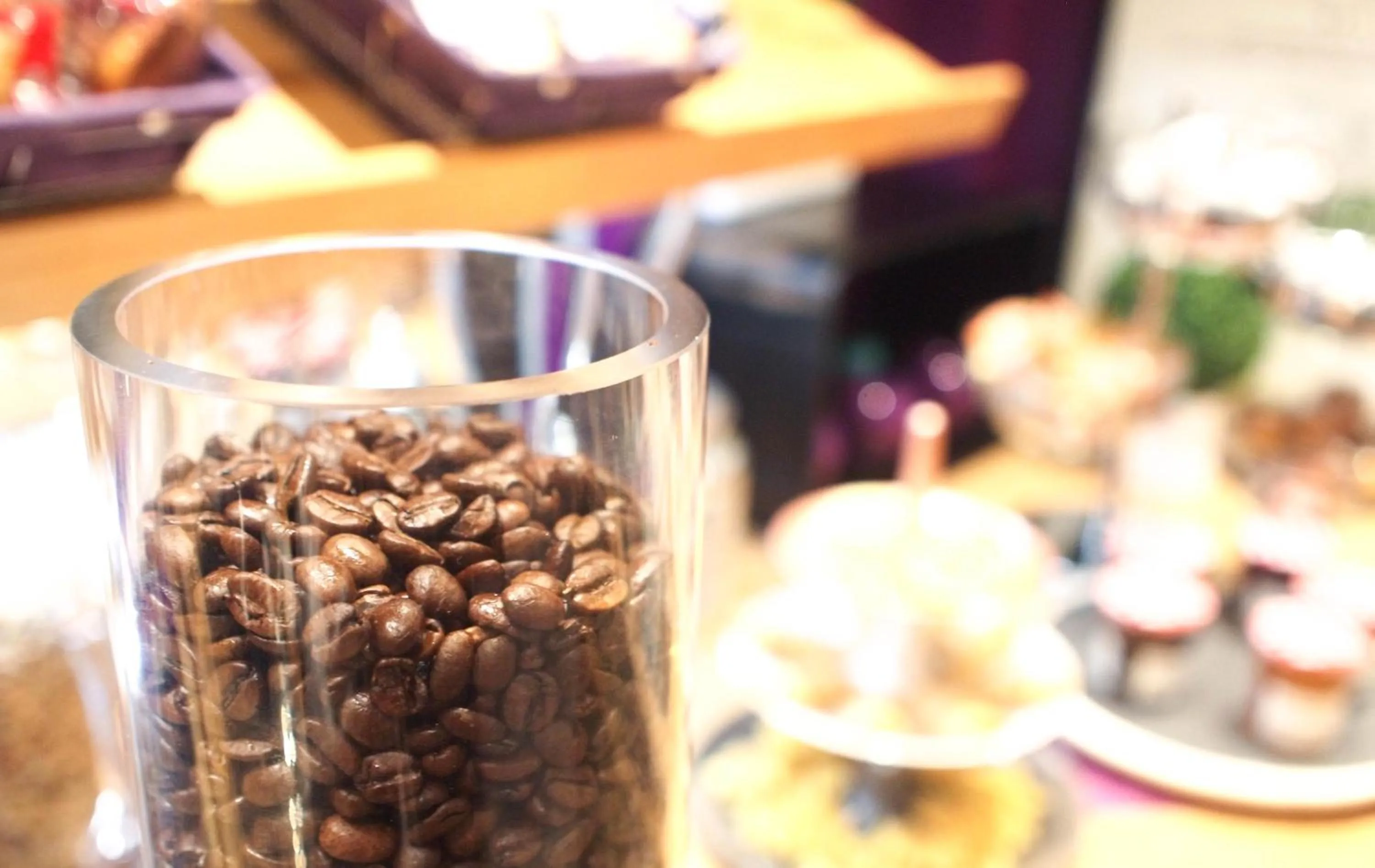 Area and facilities in Mercure Angers Centre Gare