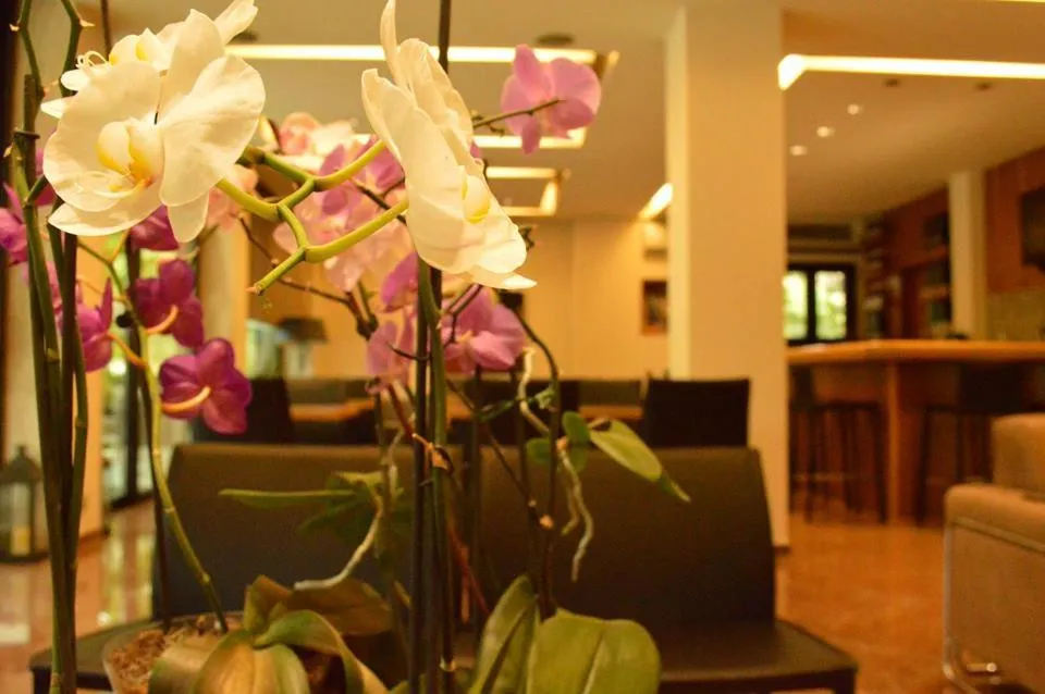 Lobby or reception in Alexakis Hotel & Spa