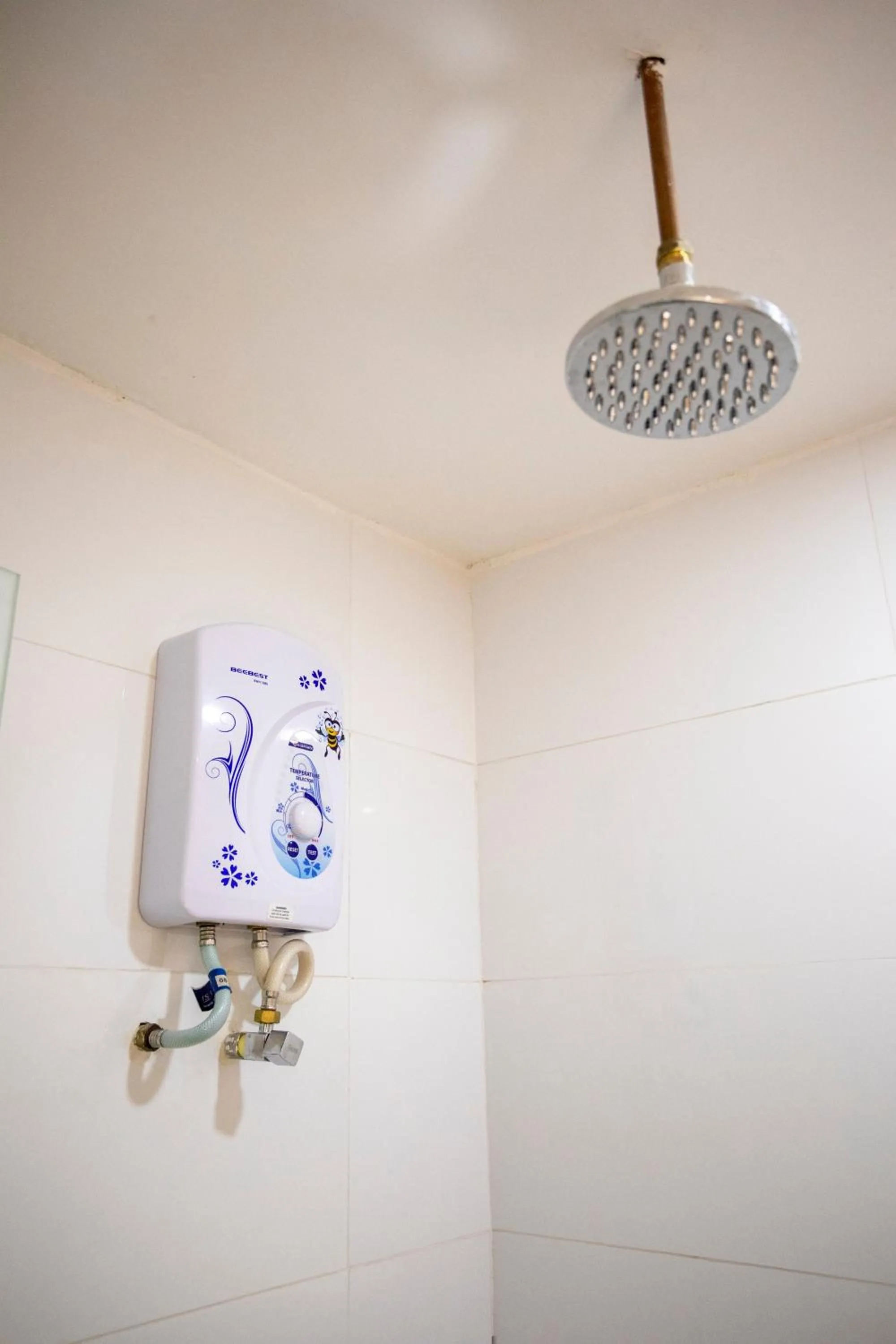 Lazy Cat Home At Gaya Street