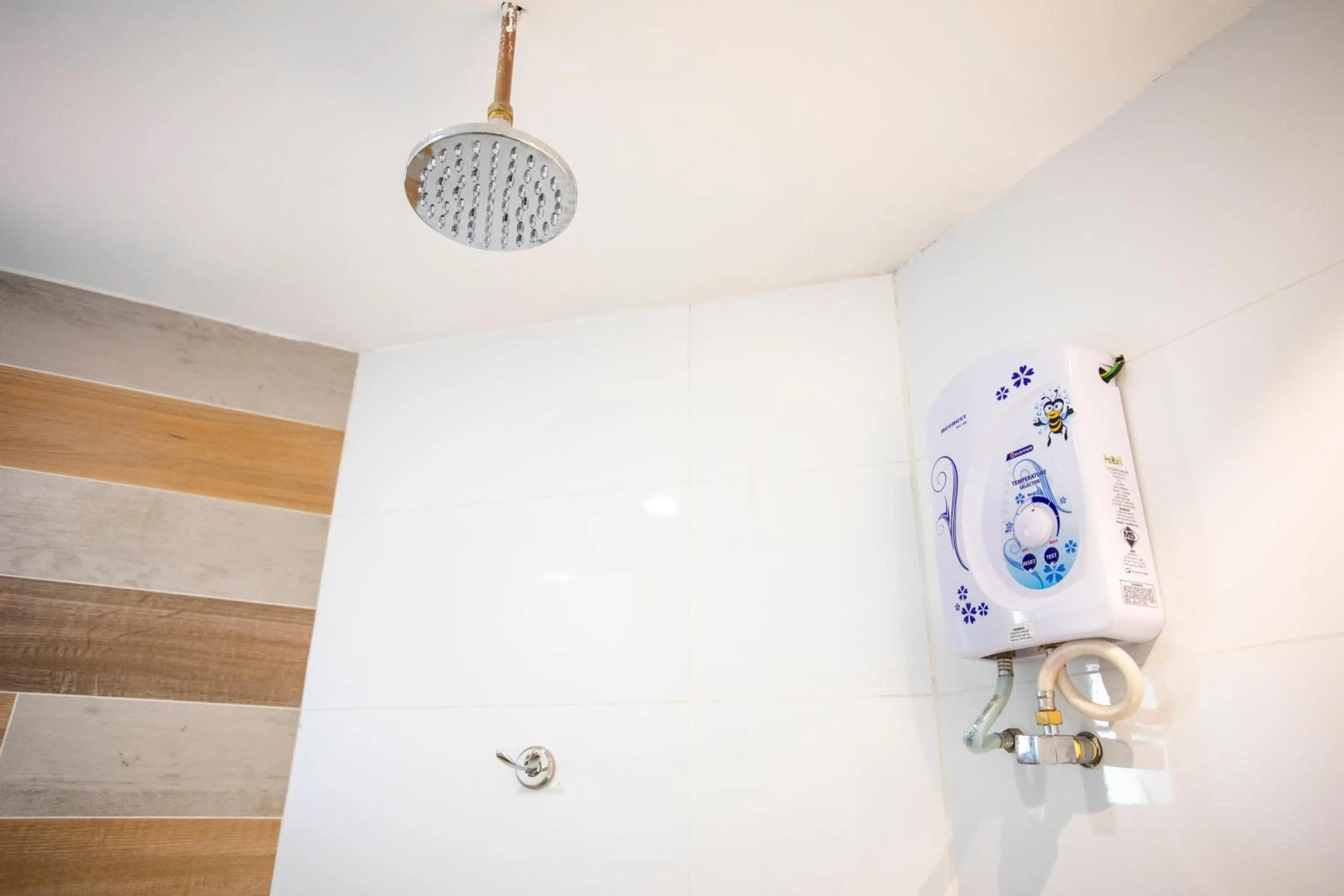 Lazy Cat Home At Gaya Street