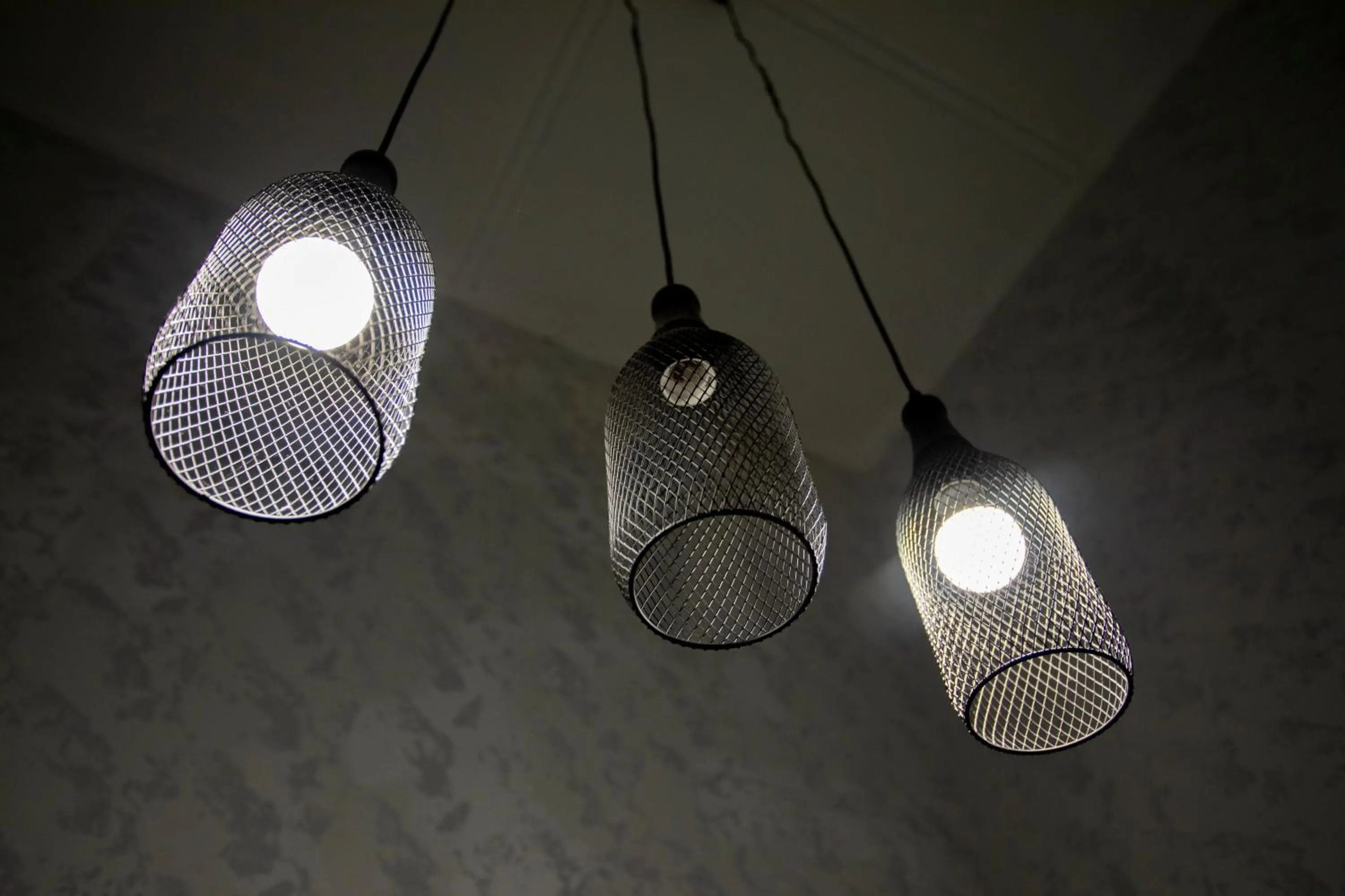 Property logo or sign in Lazy Cat Home At Gaya Street