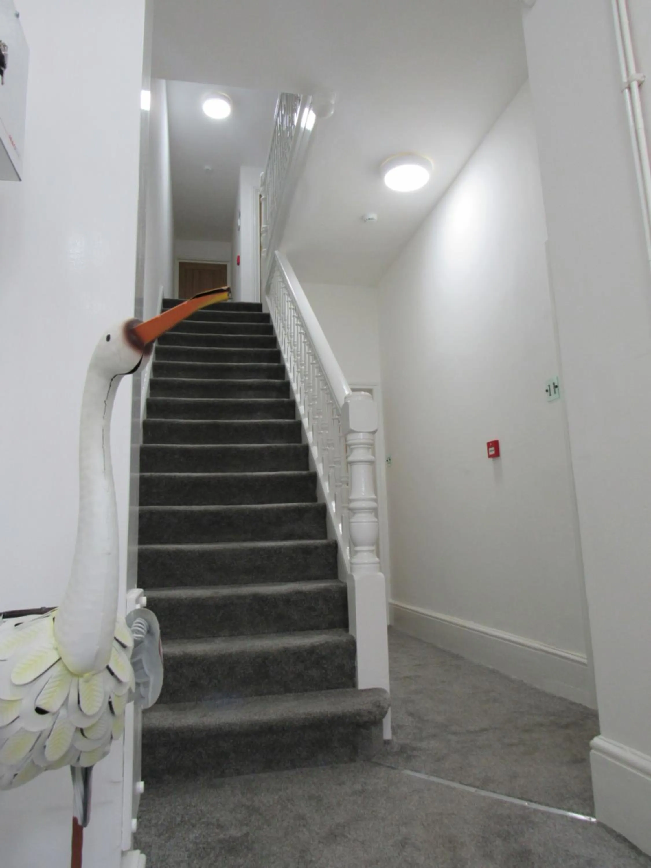 The Tas Suites - Tas Accommodations