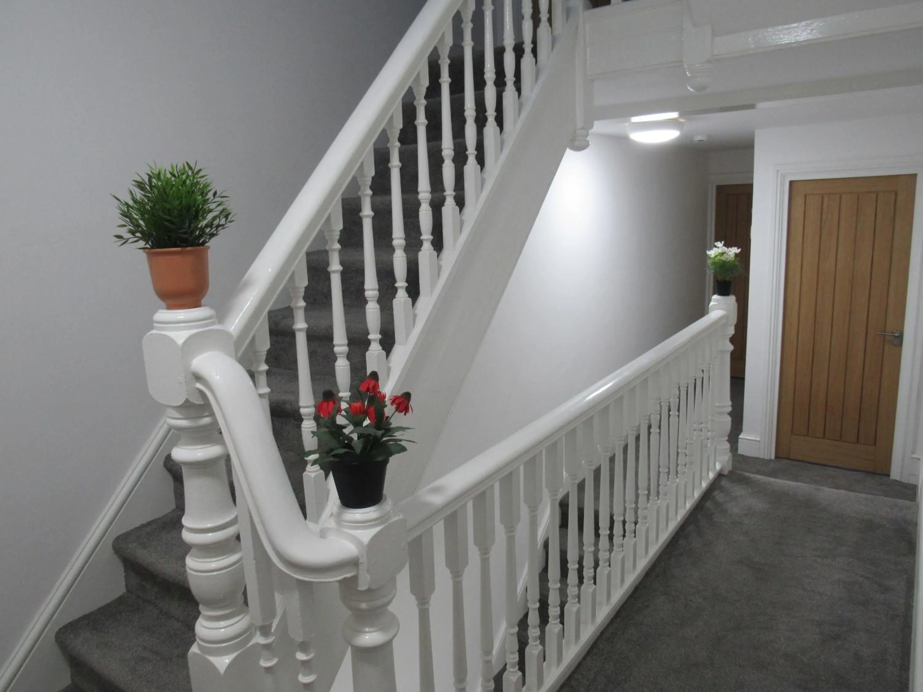 The Tas Suites - Tas Accommodations