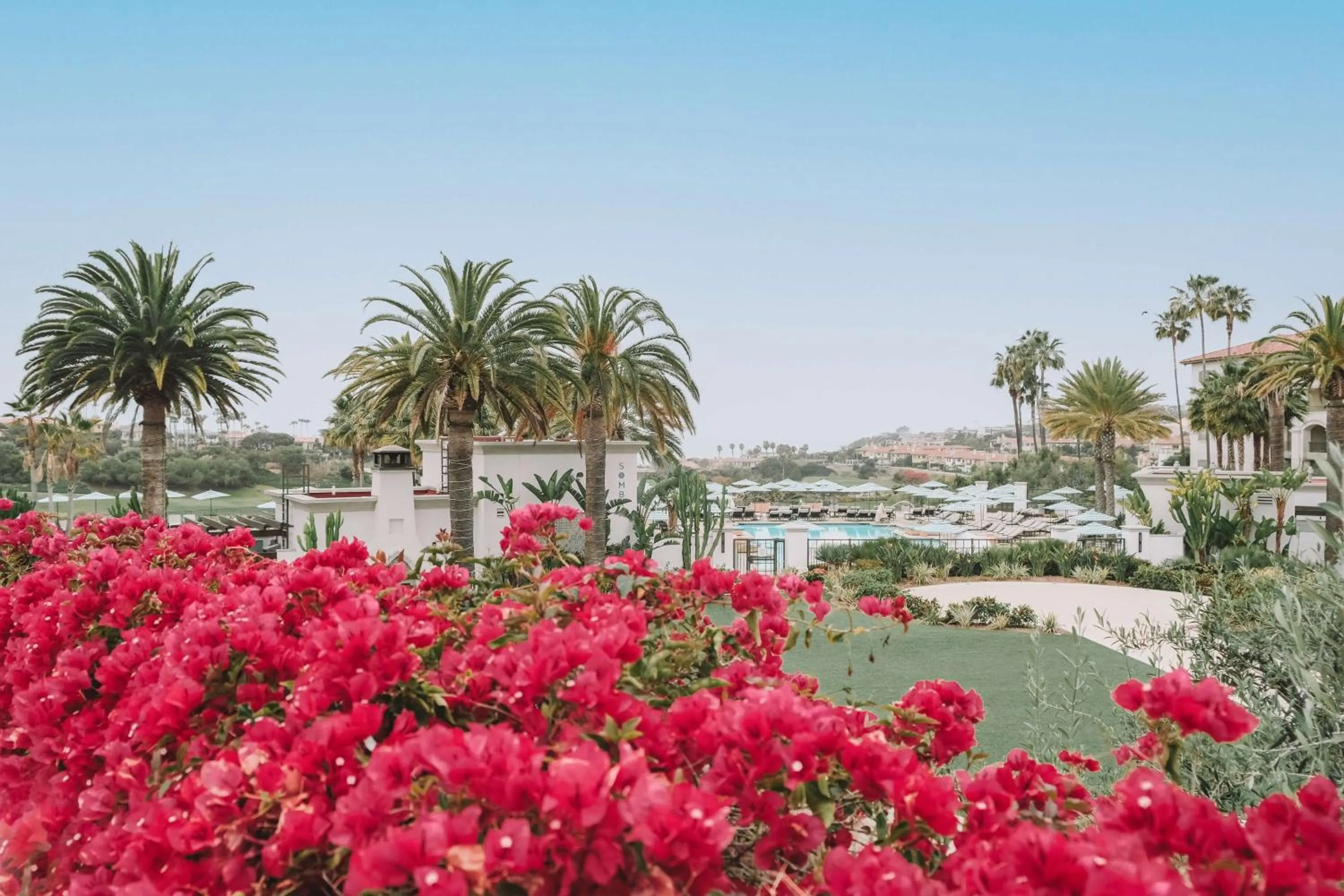 Pool view in Waldorf Astoria Monarch Beach Resort & Club