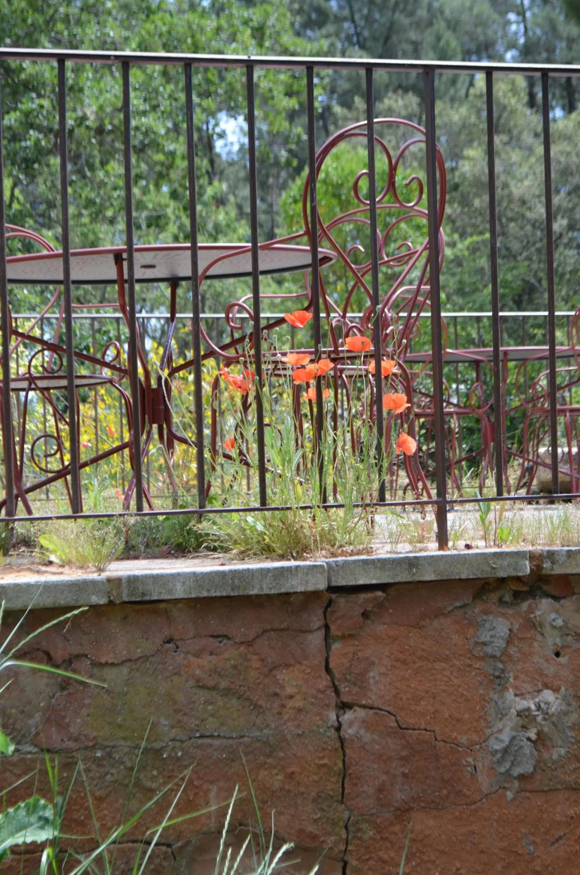 Garden in La Maison des Ocres - Provence