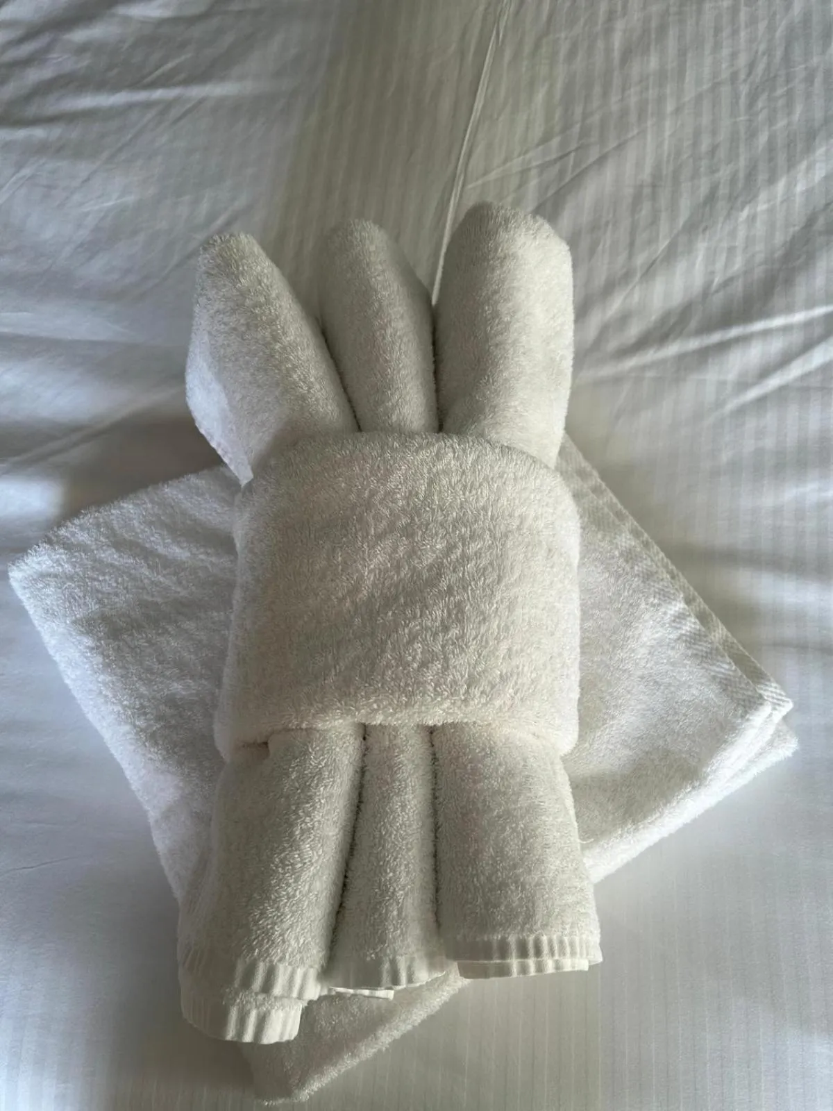 Bathroom, Bed in Greylands Guest House