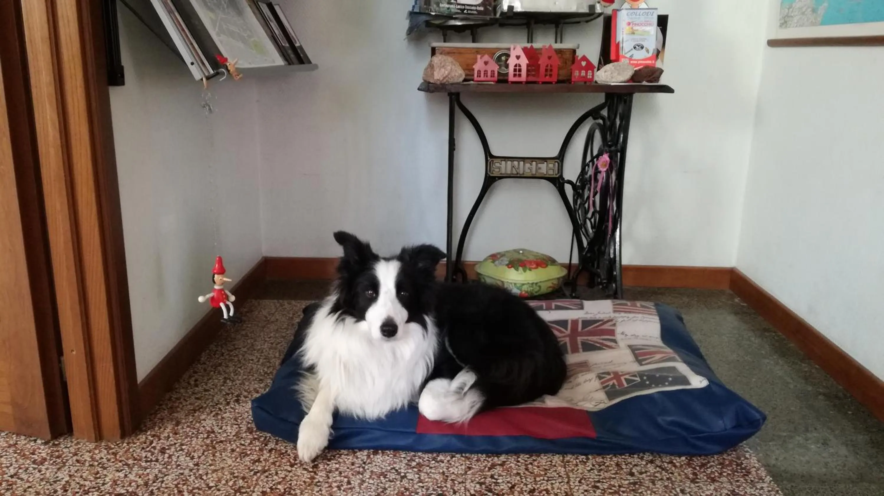 Pets in Albergo Le Rose