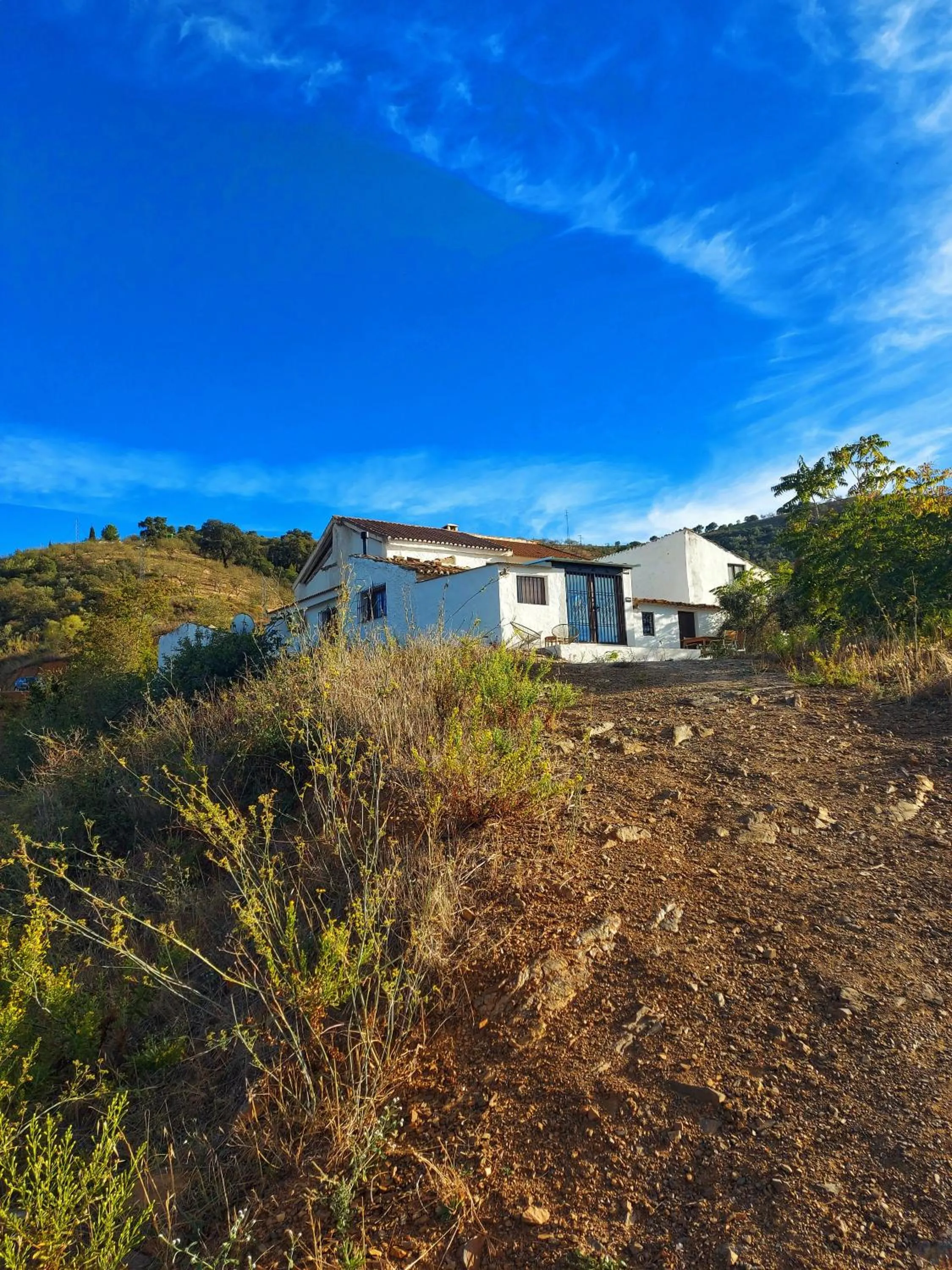 Property building in Finca Serrato