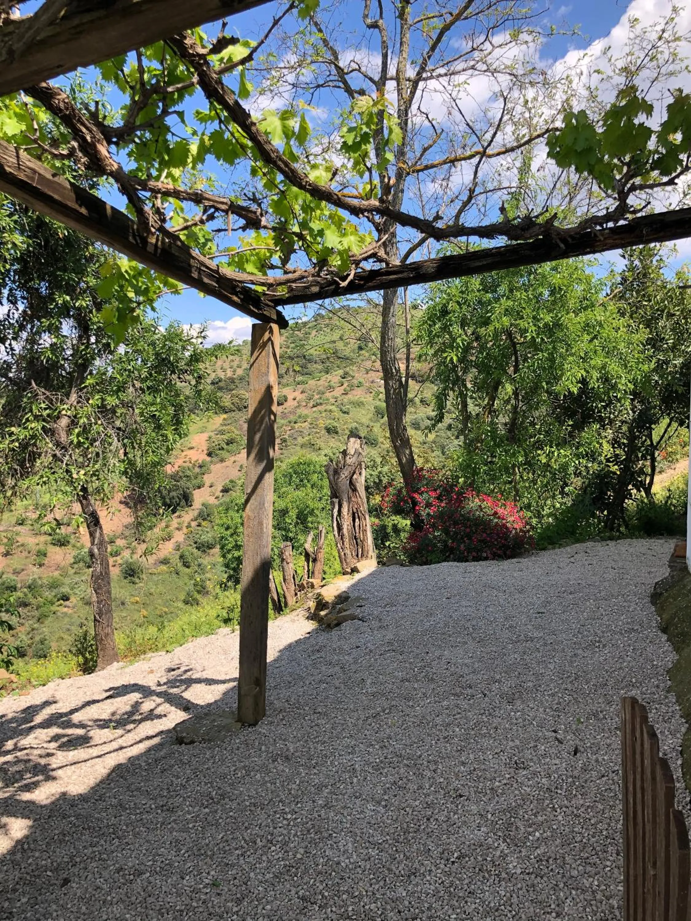 Garden in Finca Serrato