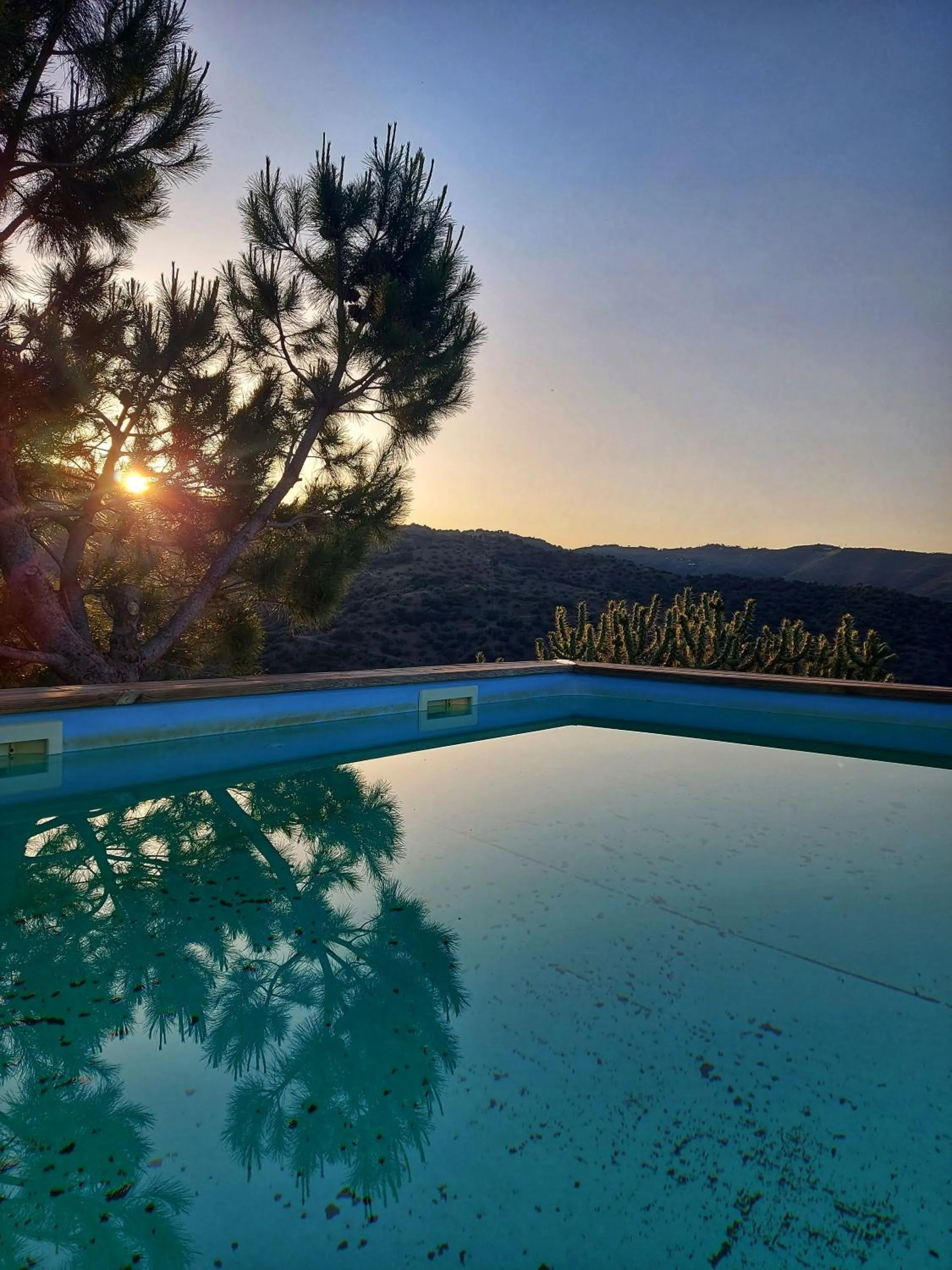 Swimming pool in Finca Serrato