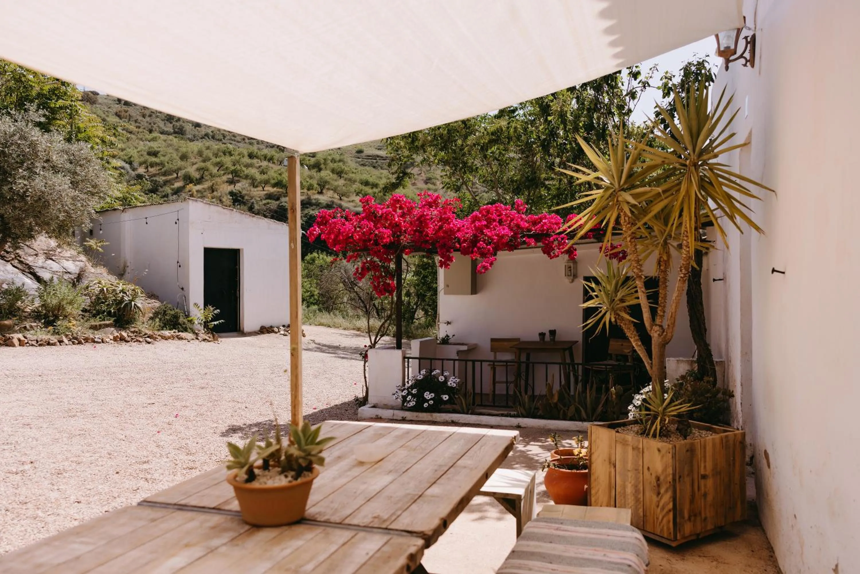 Patio in Finca Serrato