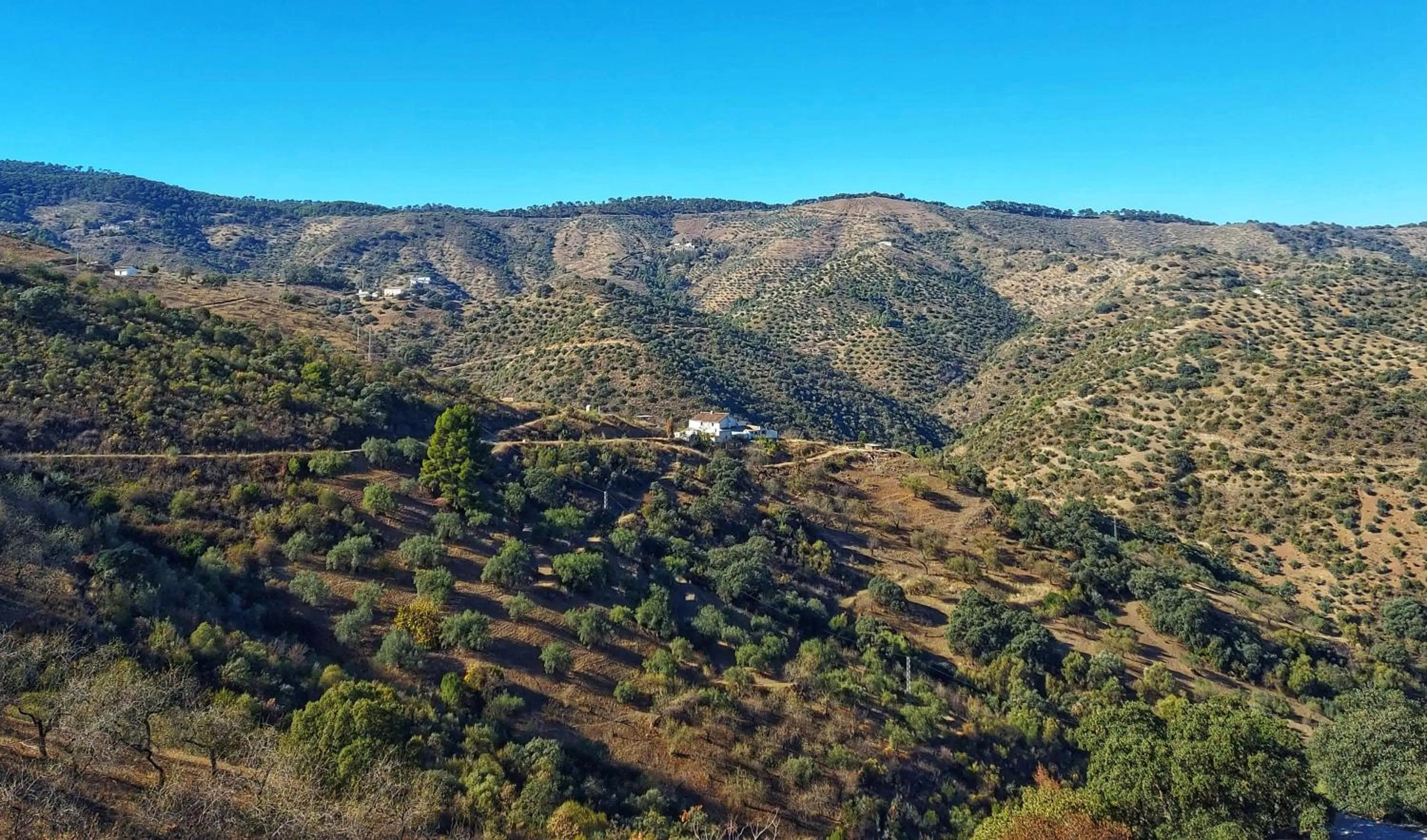 Property building in Finca Serrato