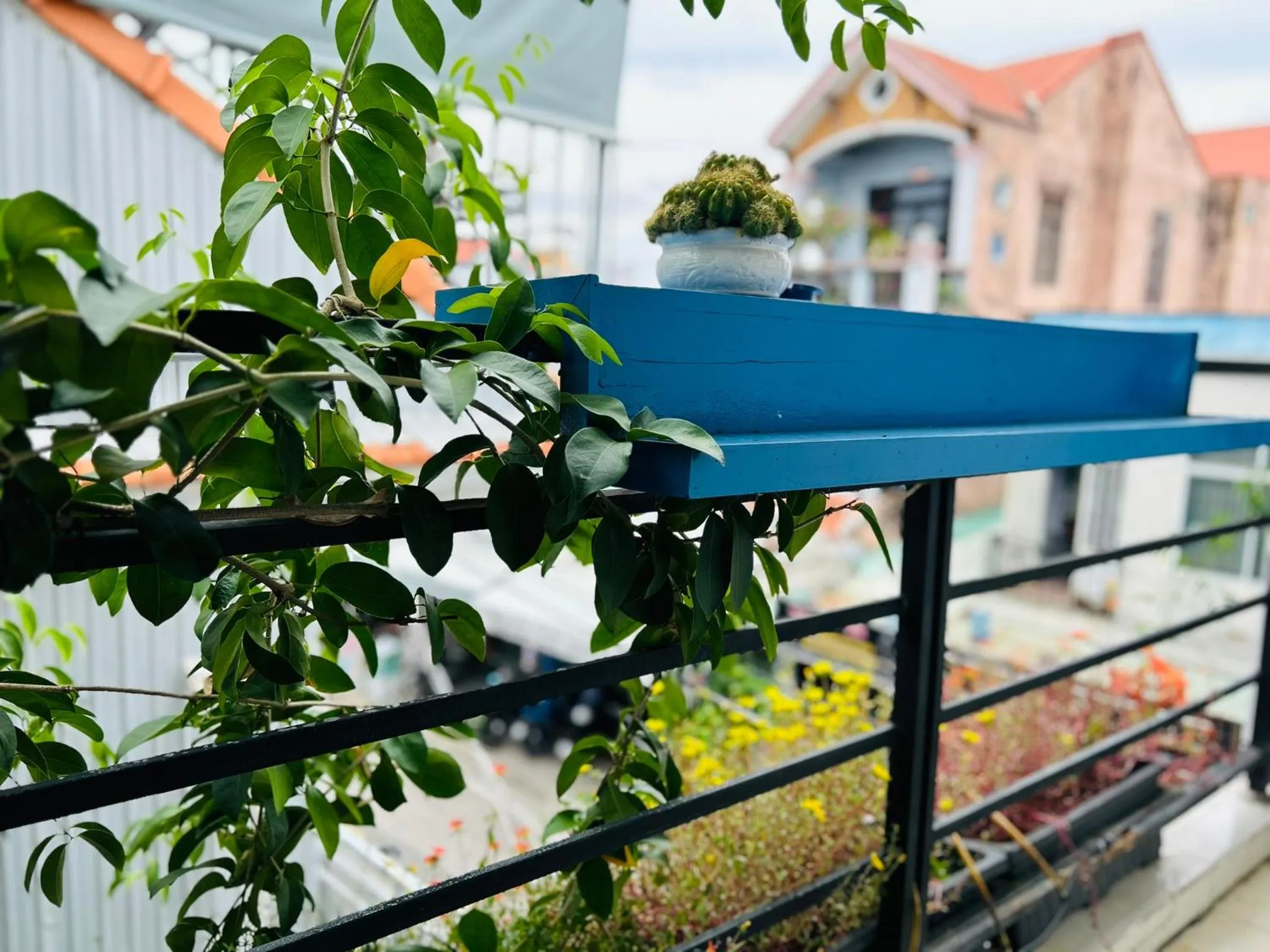 Day in May's House Hoi An