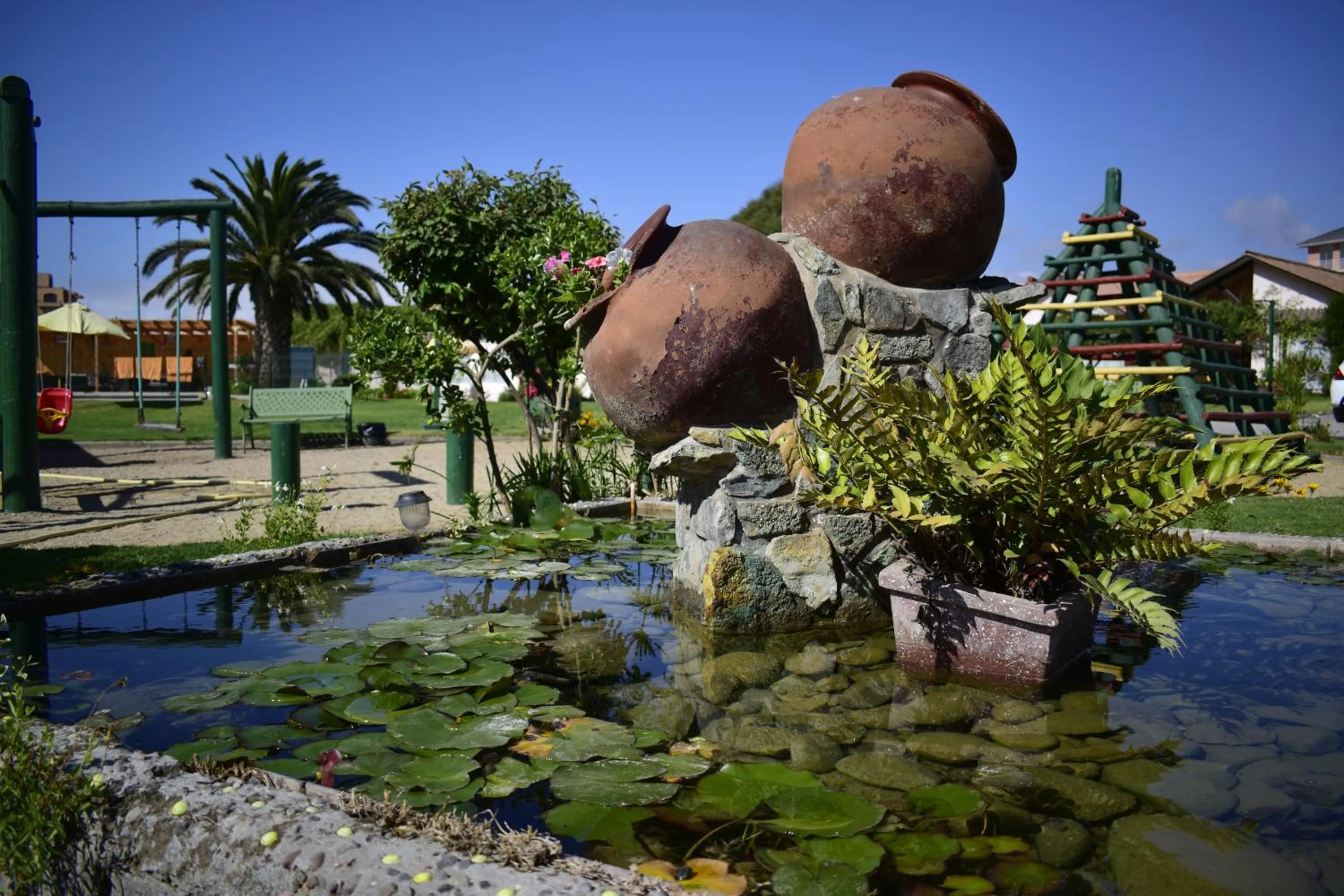 Summer in Apart Hotel Y Cabanas Vegasur