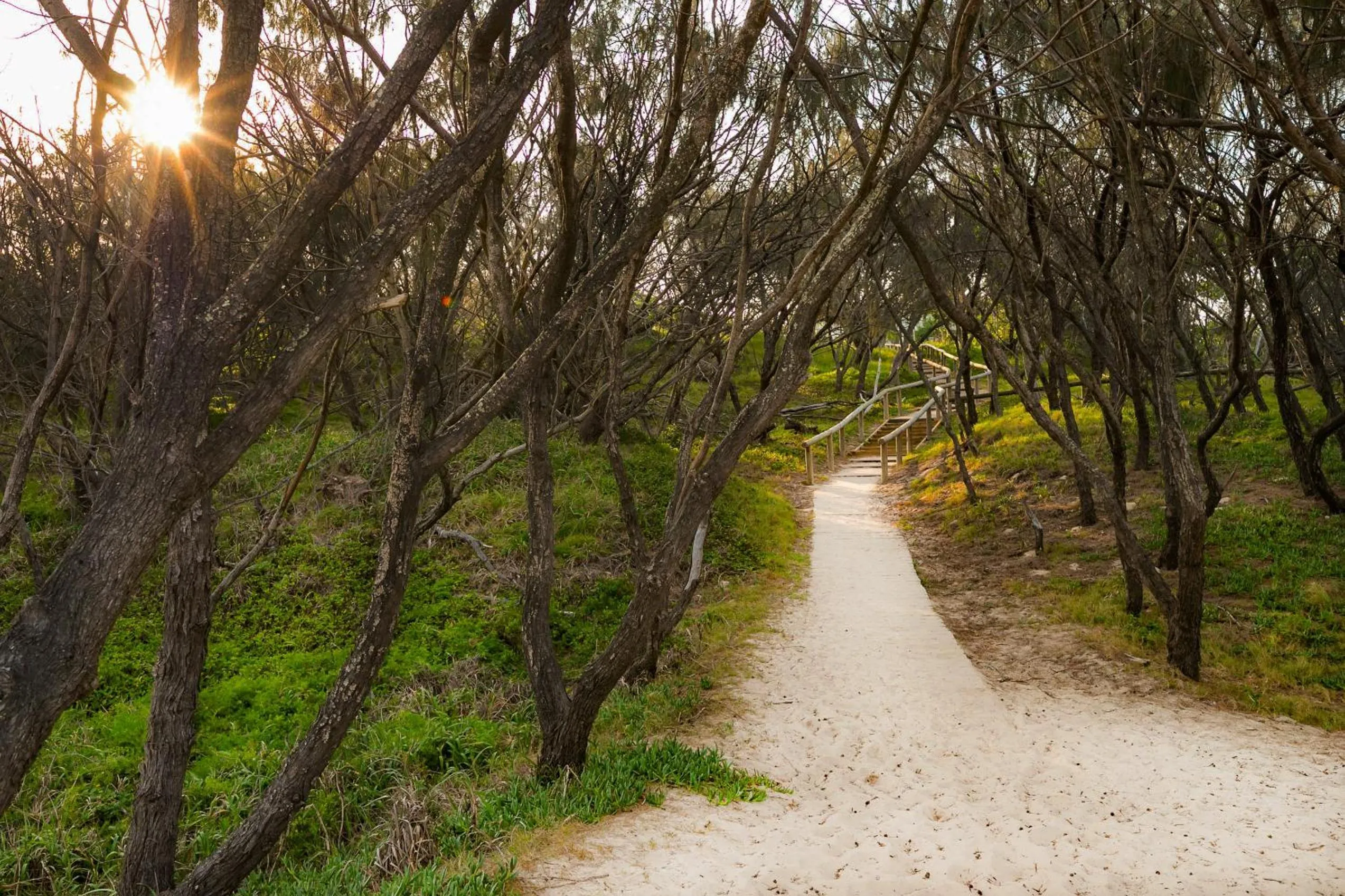 Beach in Aqua Promenade Beachfront Holiday Apartments