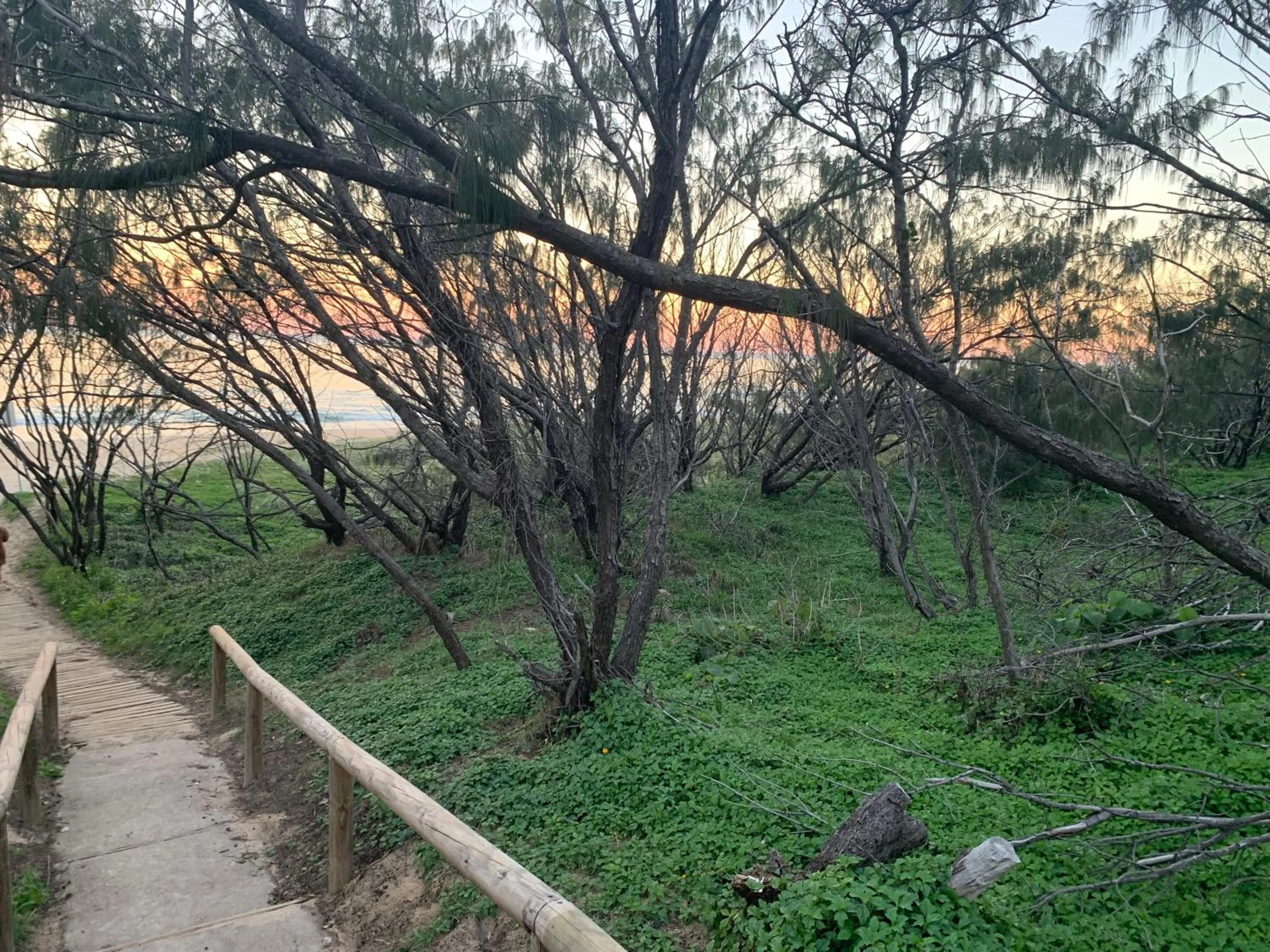 Beach in Aqua Promenade Beachfront Holiday Apartments