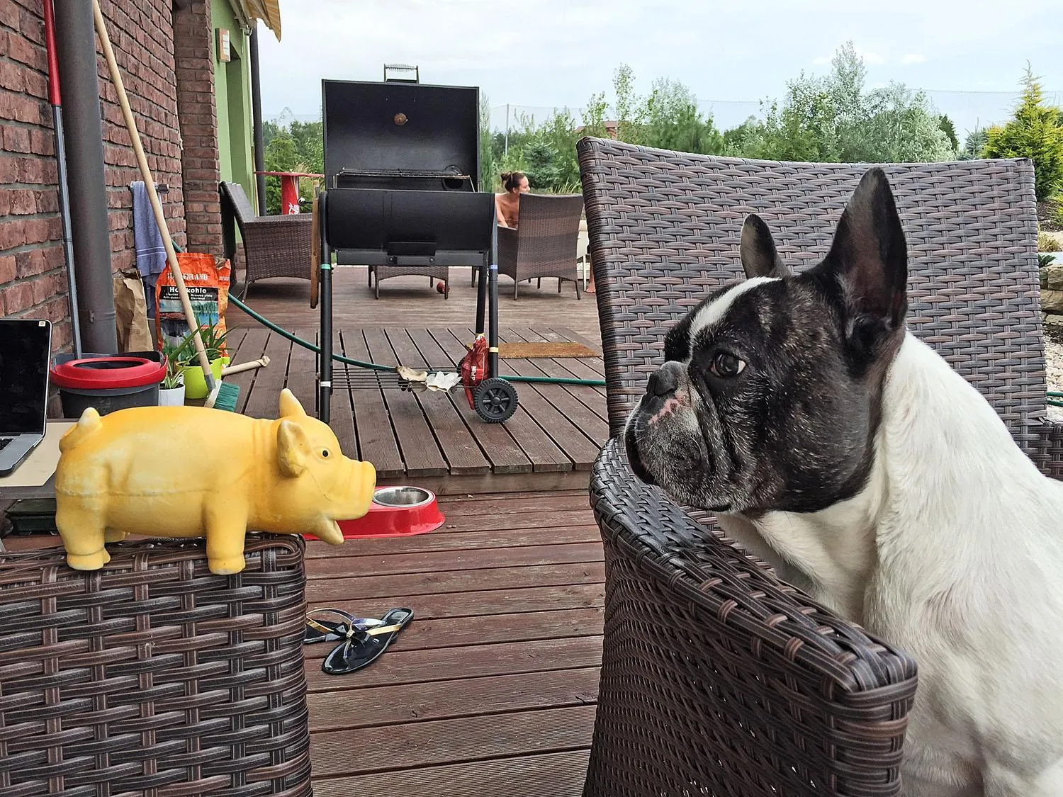 Pets in Lake View Apartments near Golf Resort Kunětická Hora, Dříteč