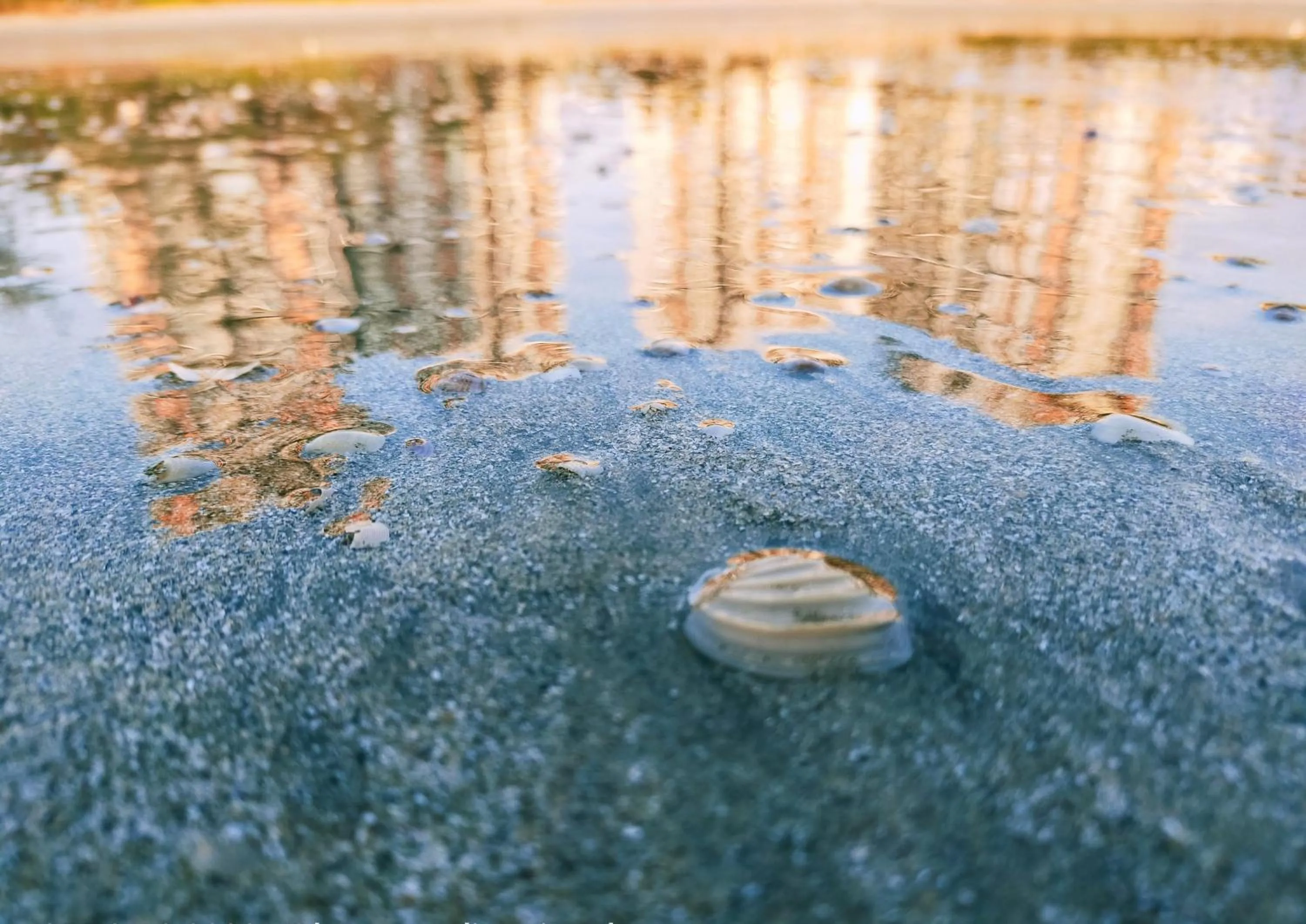 Timur Bay Seafront Residence Kuantan