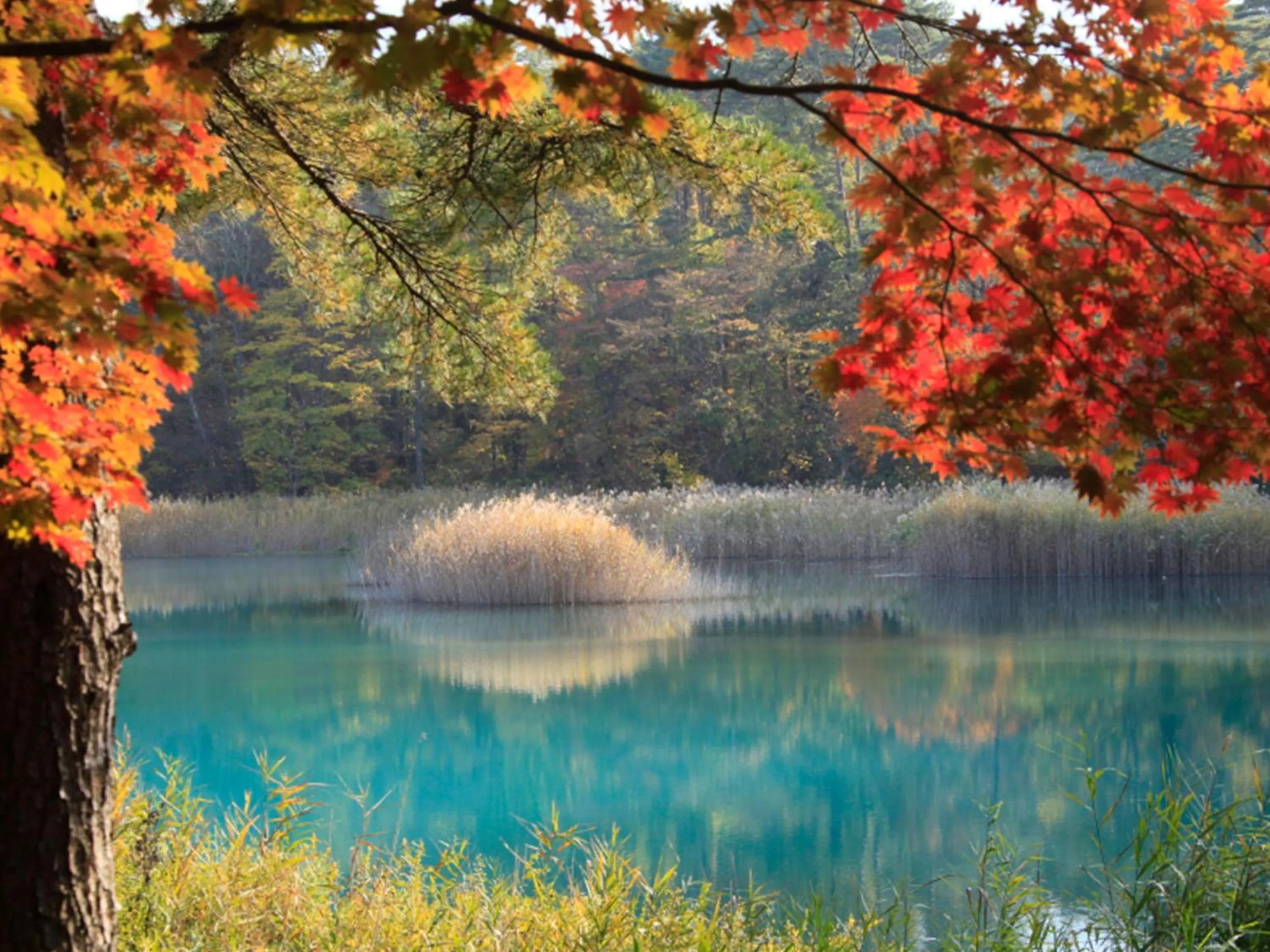 Natural landscape in Urabandai Lake Resort Geihinkan Nekoma Rikyu
