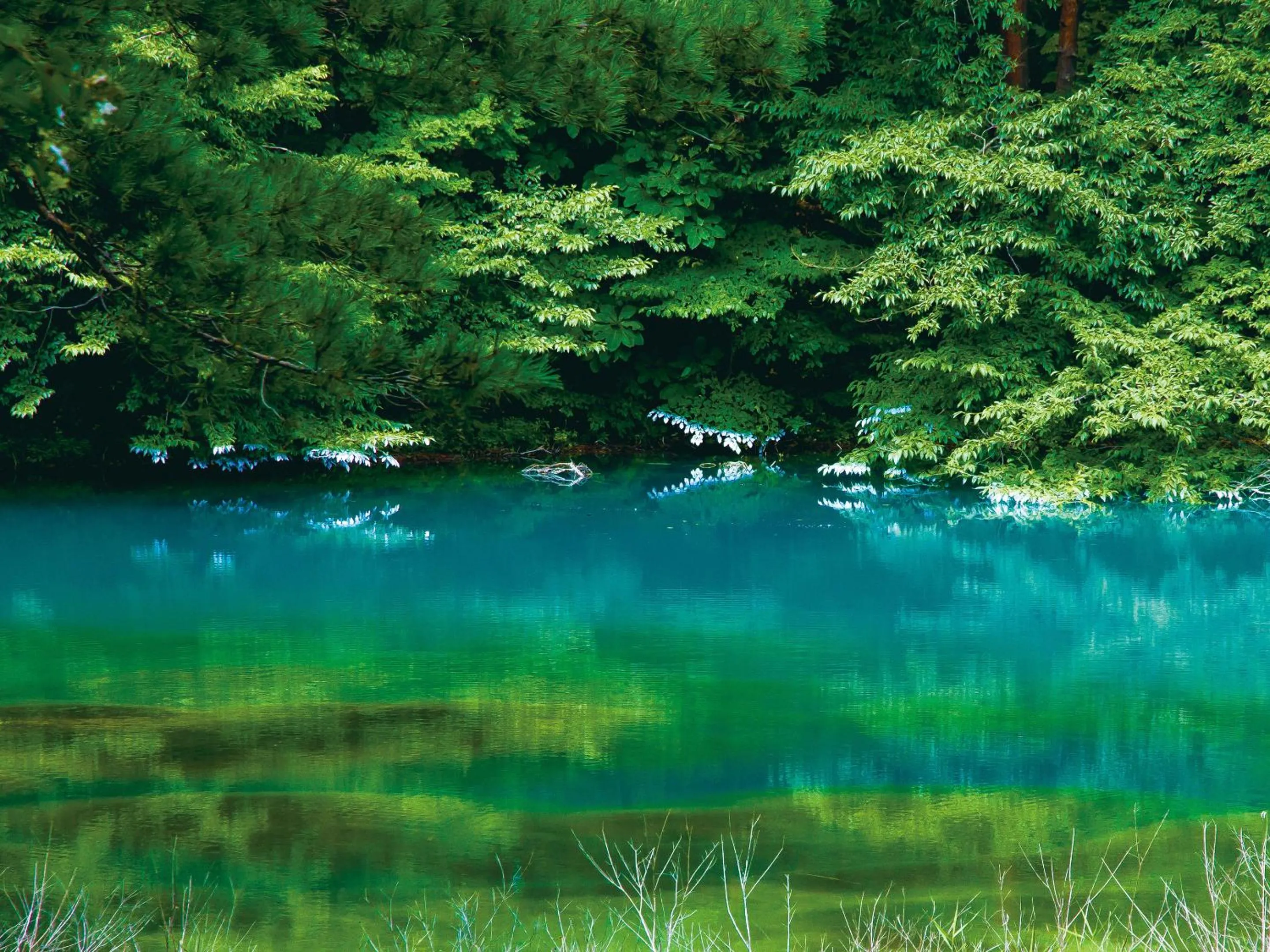 Natural landscape in Urabandai Lake Resort Geihinkan Nekoma Rikyu