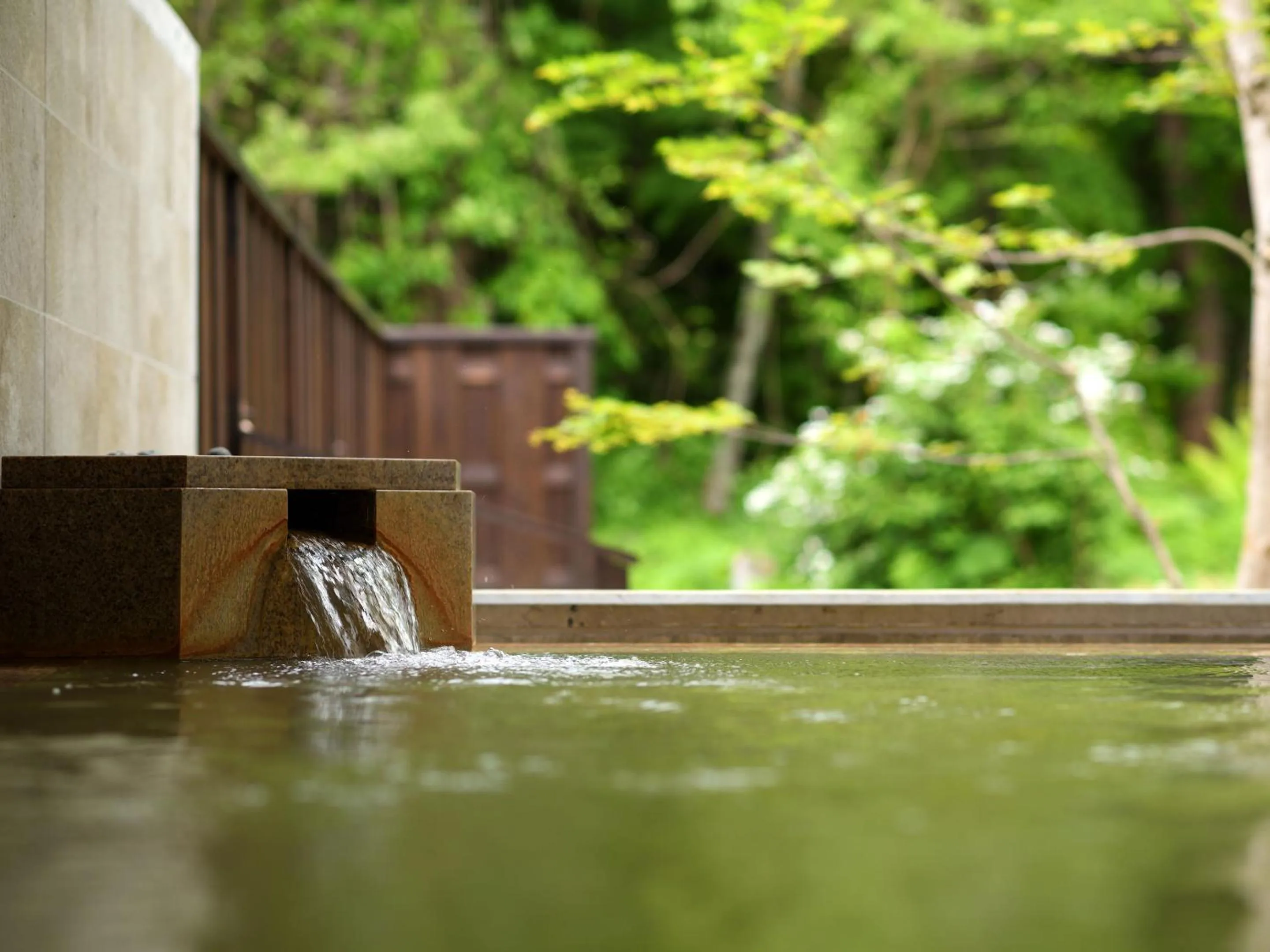 Hot Spring Bath in Urabandai Lake Resort Geihinkan Nekoma Rikyu