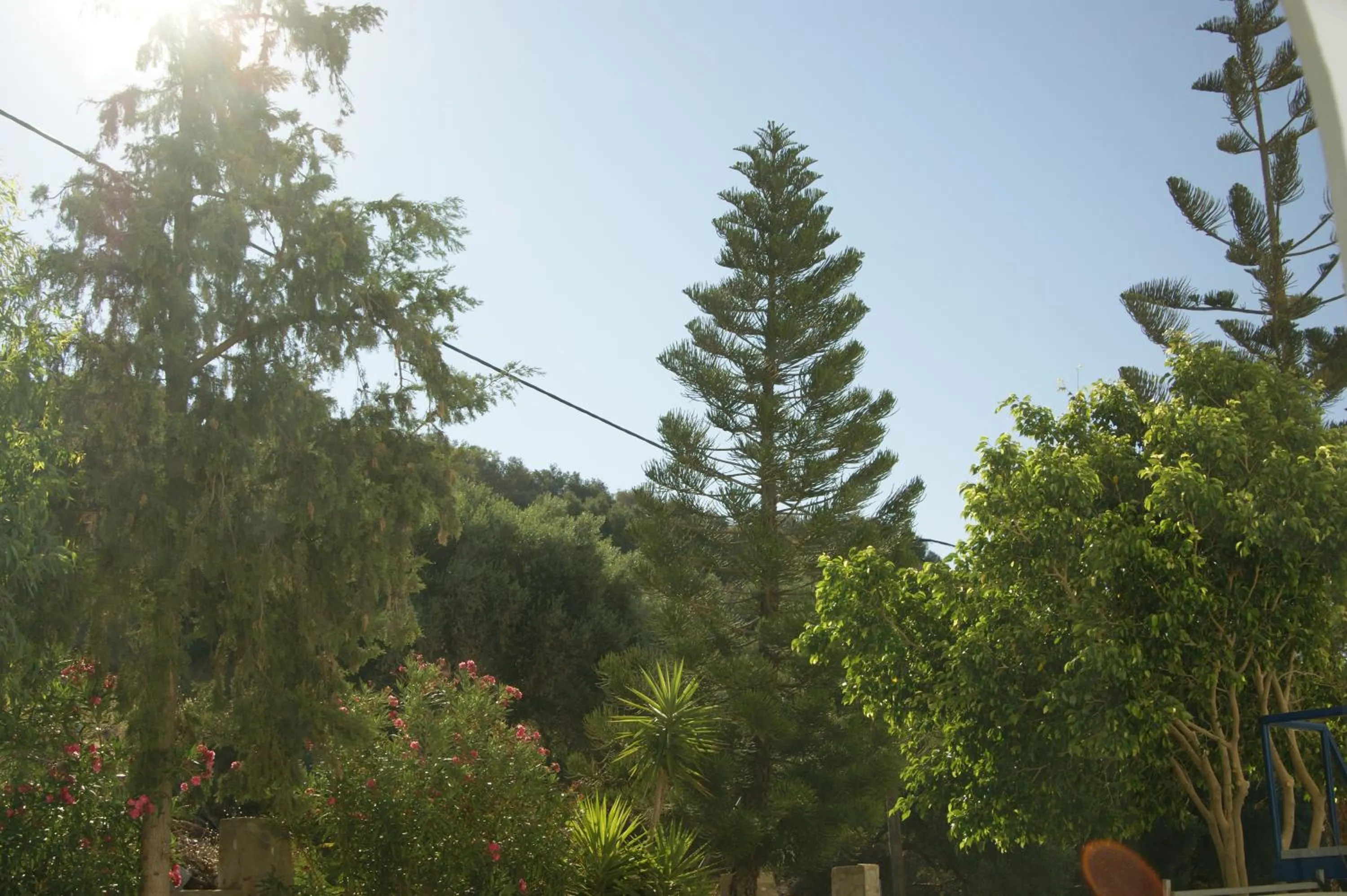 Garden in Lofos Hotel