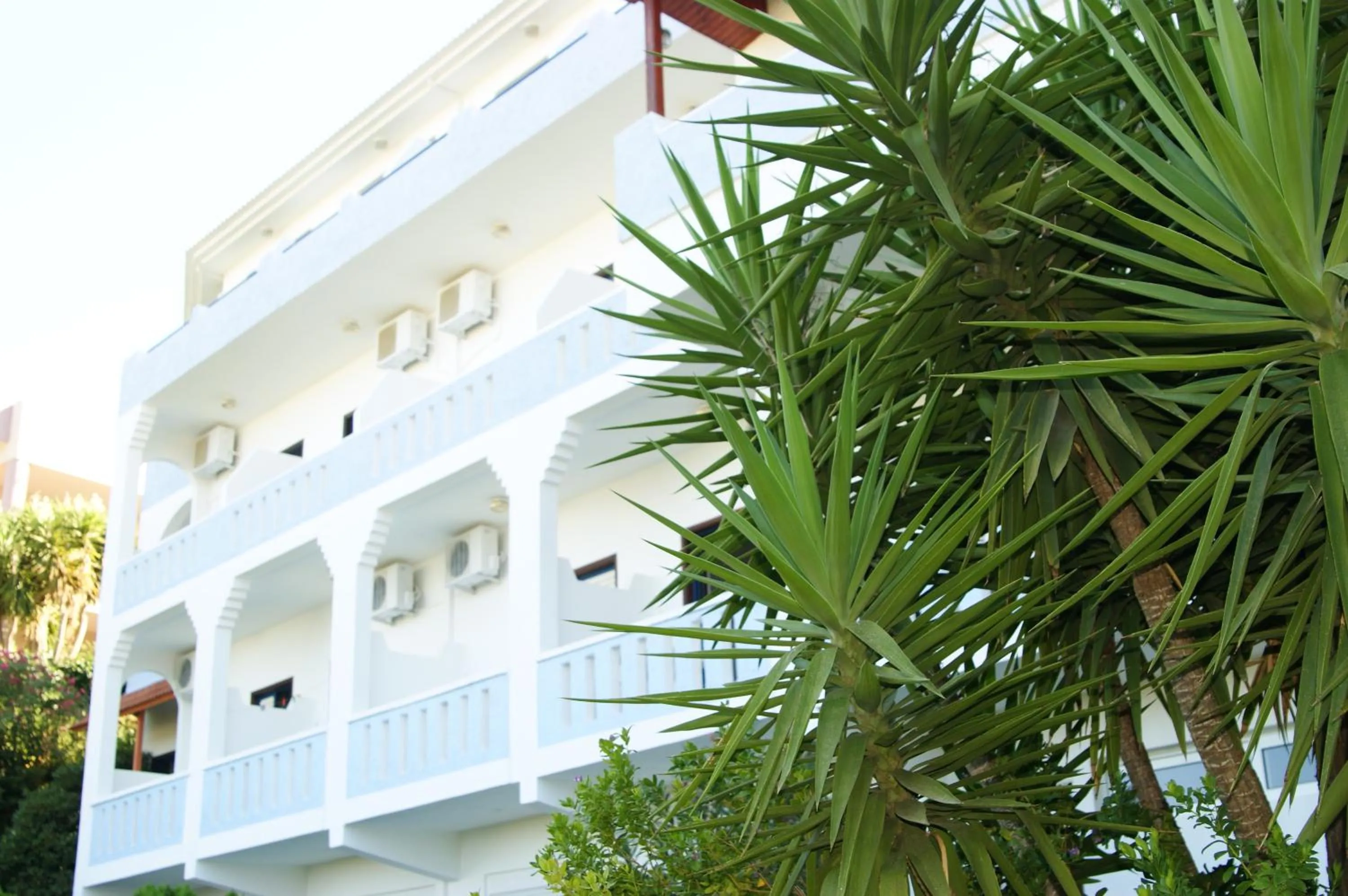 Garden in Lofos Hotel