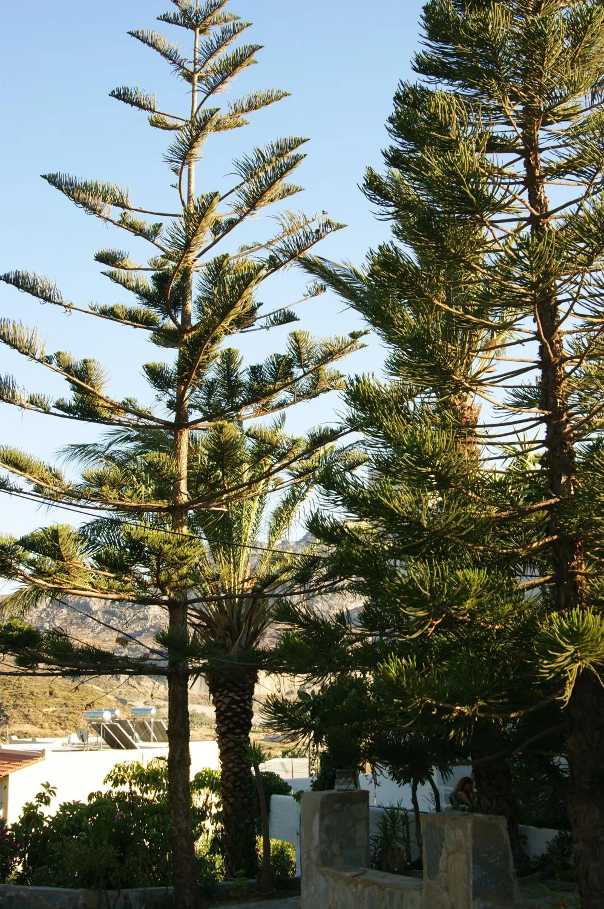 Facade/entrance in Lofos Hotel