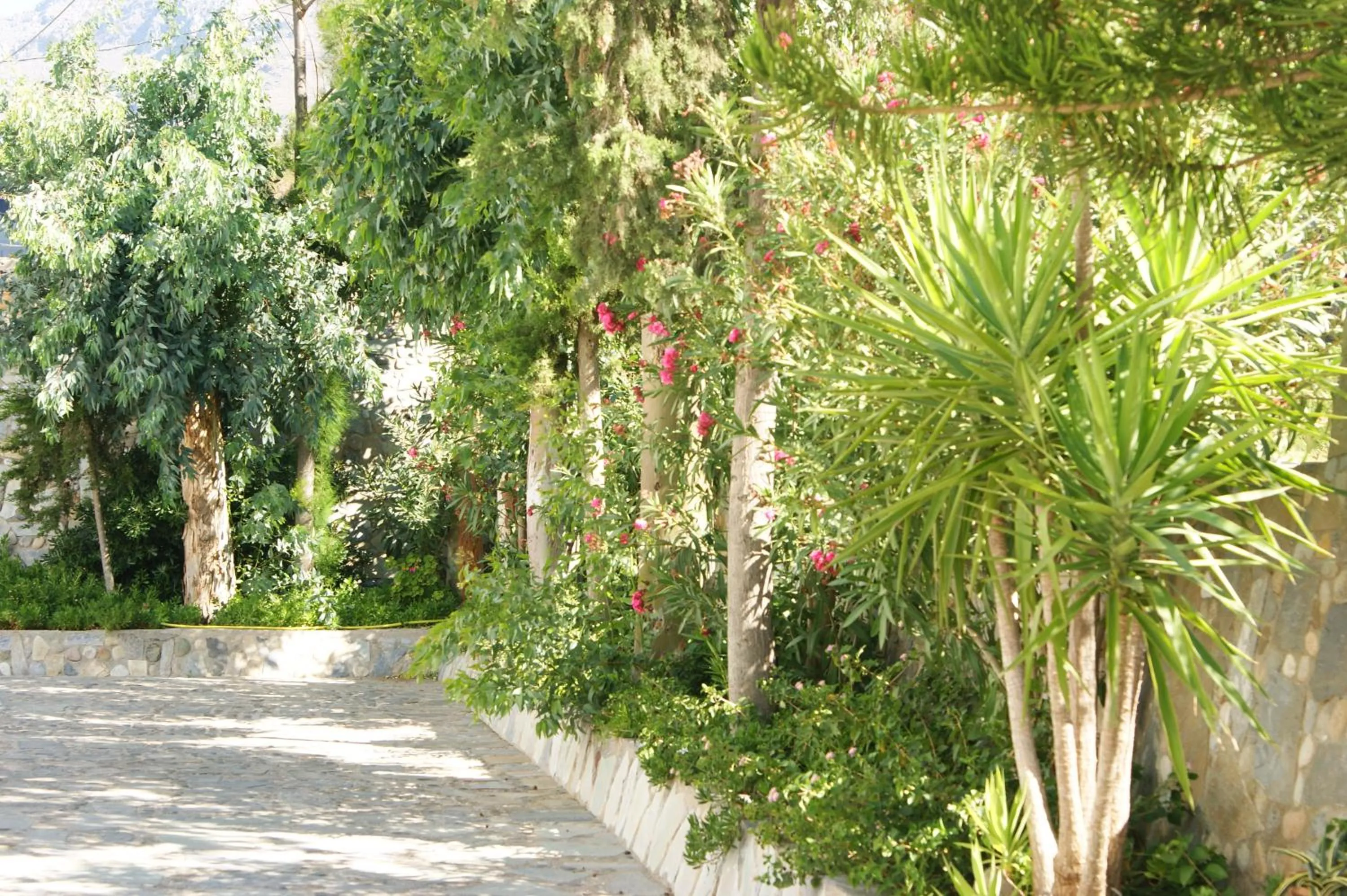 Facade/entrance in Lofos Hotel