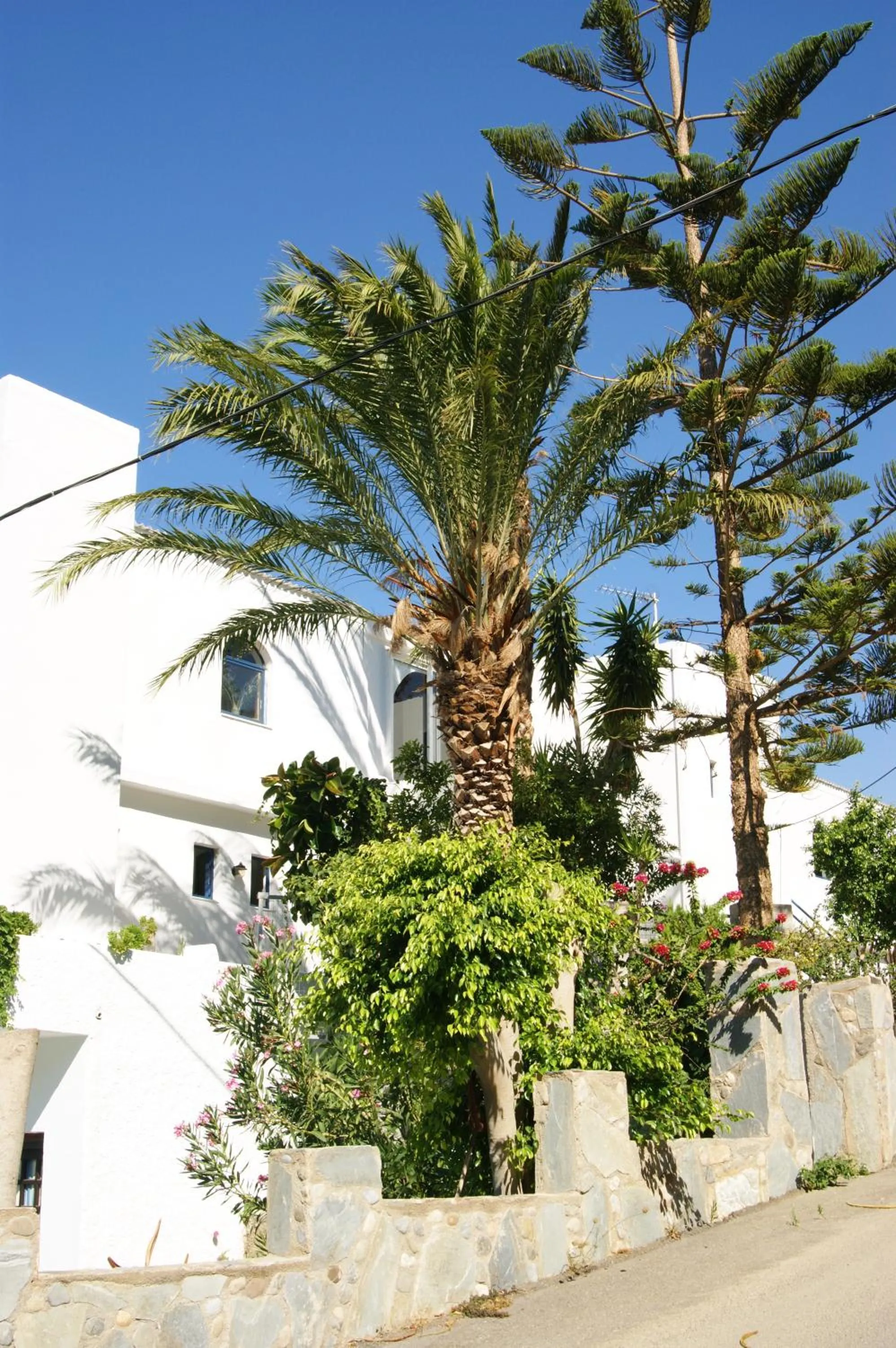 Facade/entrance in Lofos Hotel