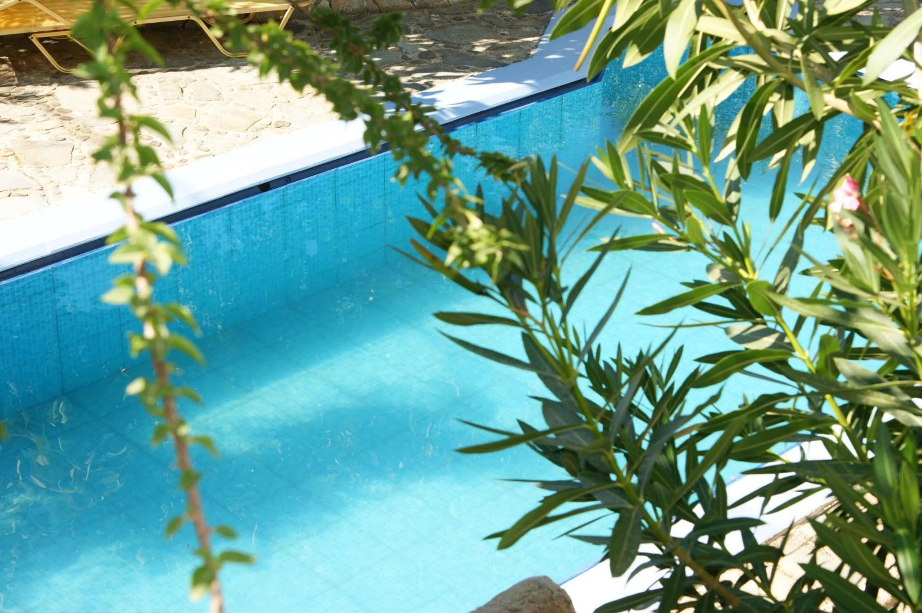 Area and facilities in Lofos Hotel