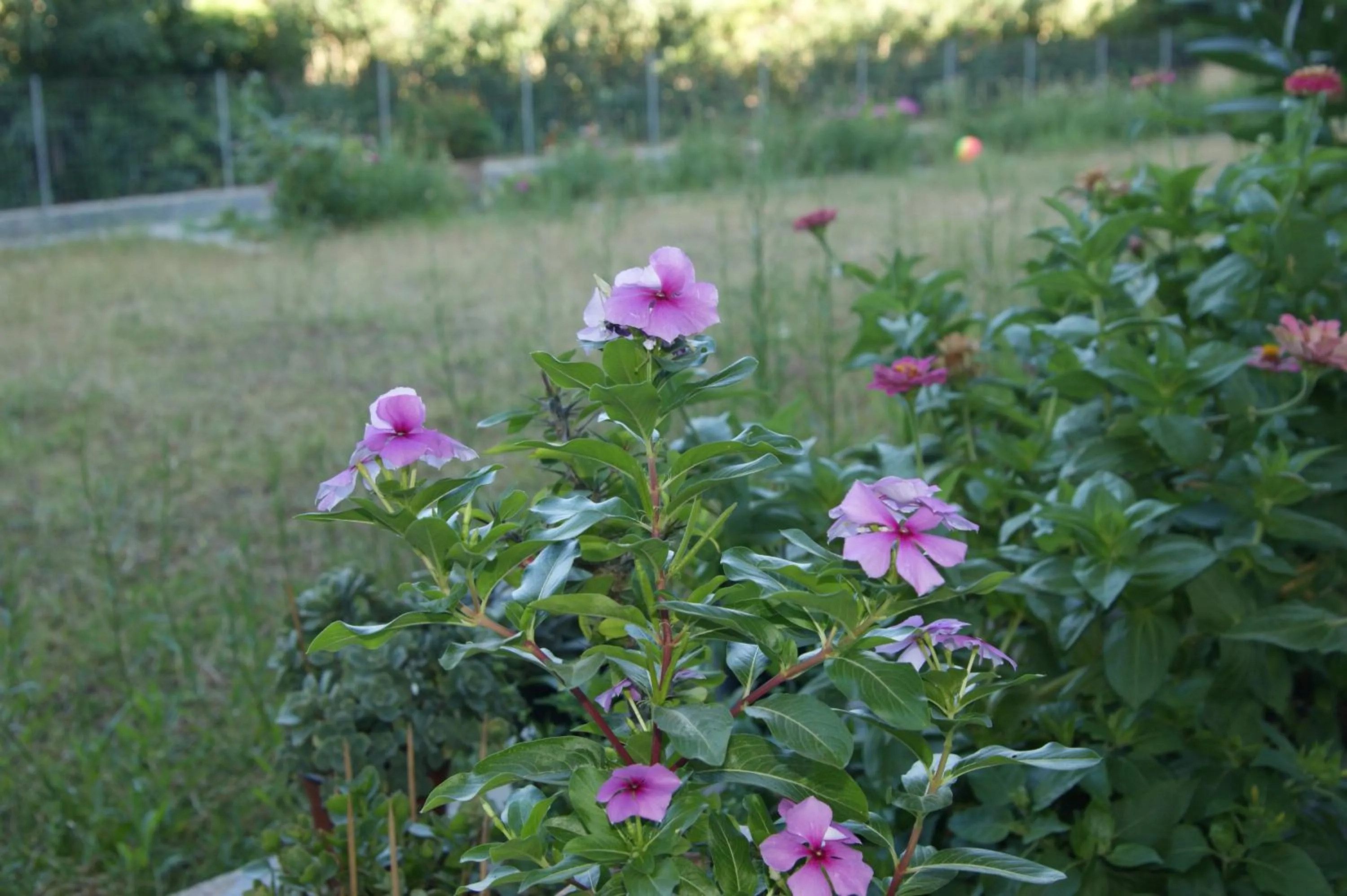 Facade/entrance in Lofos Hotel