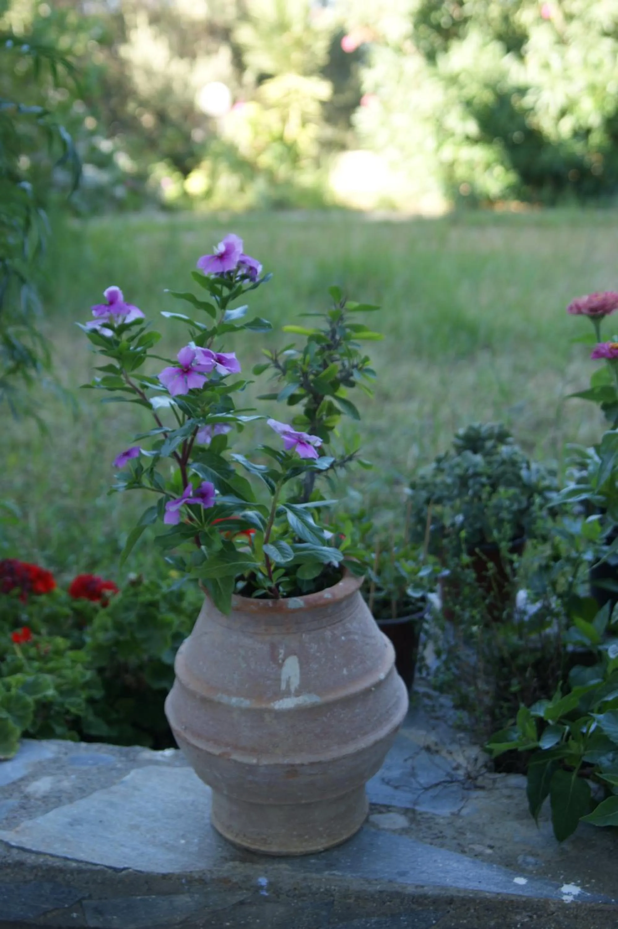 Facade/entrance in Lofos Hotel