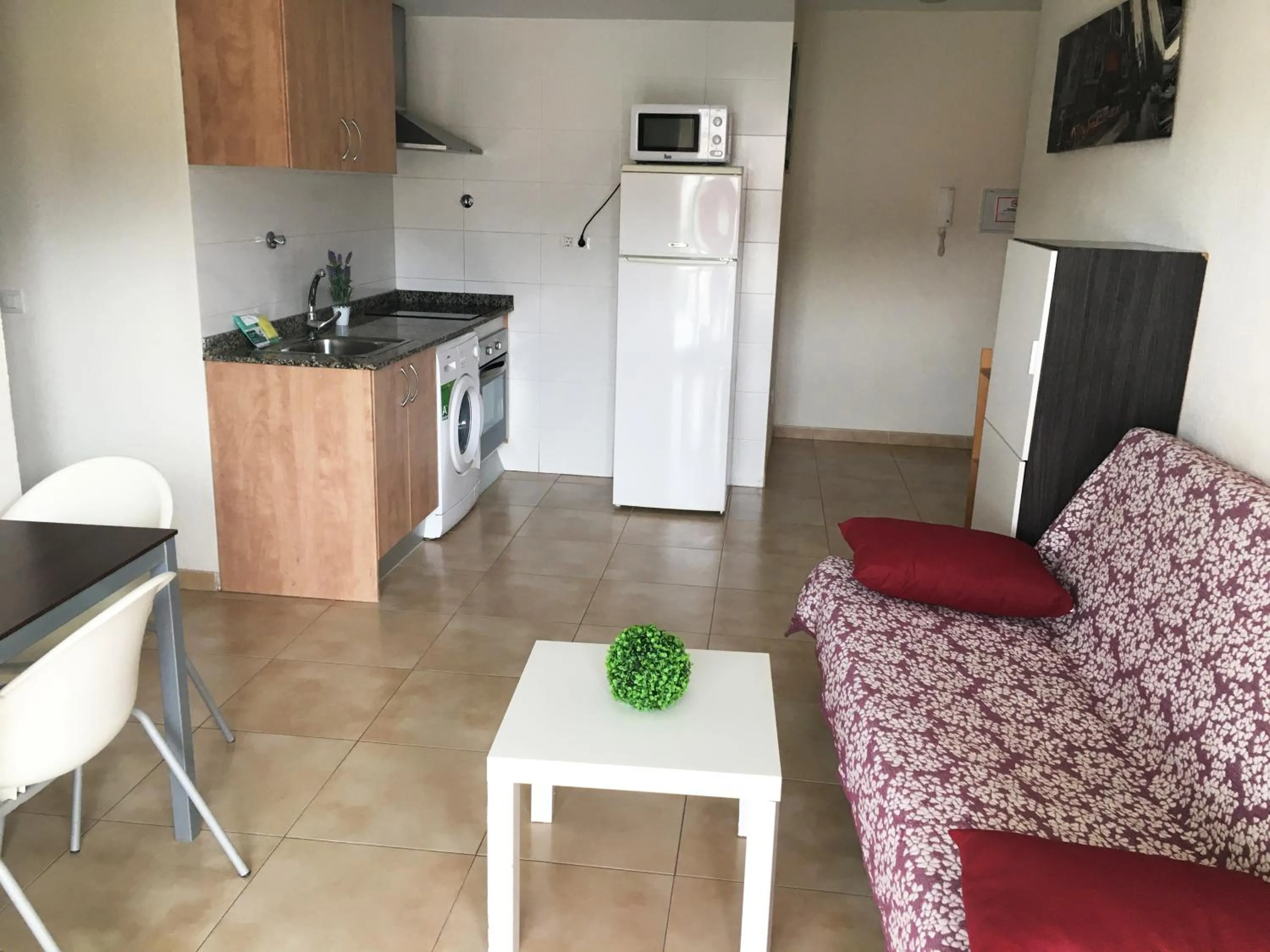 Kitchen or kitchenette in Apartamentos Doña Carmen 3000