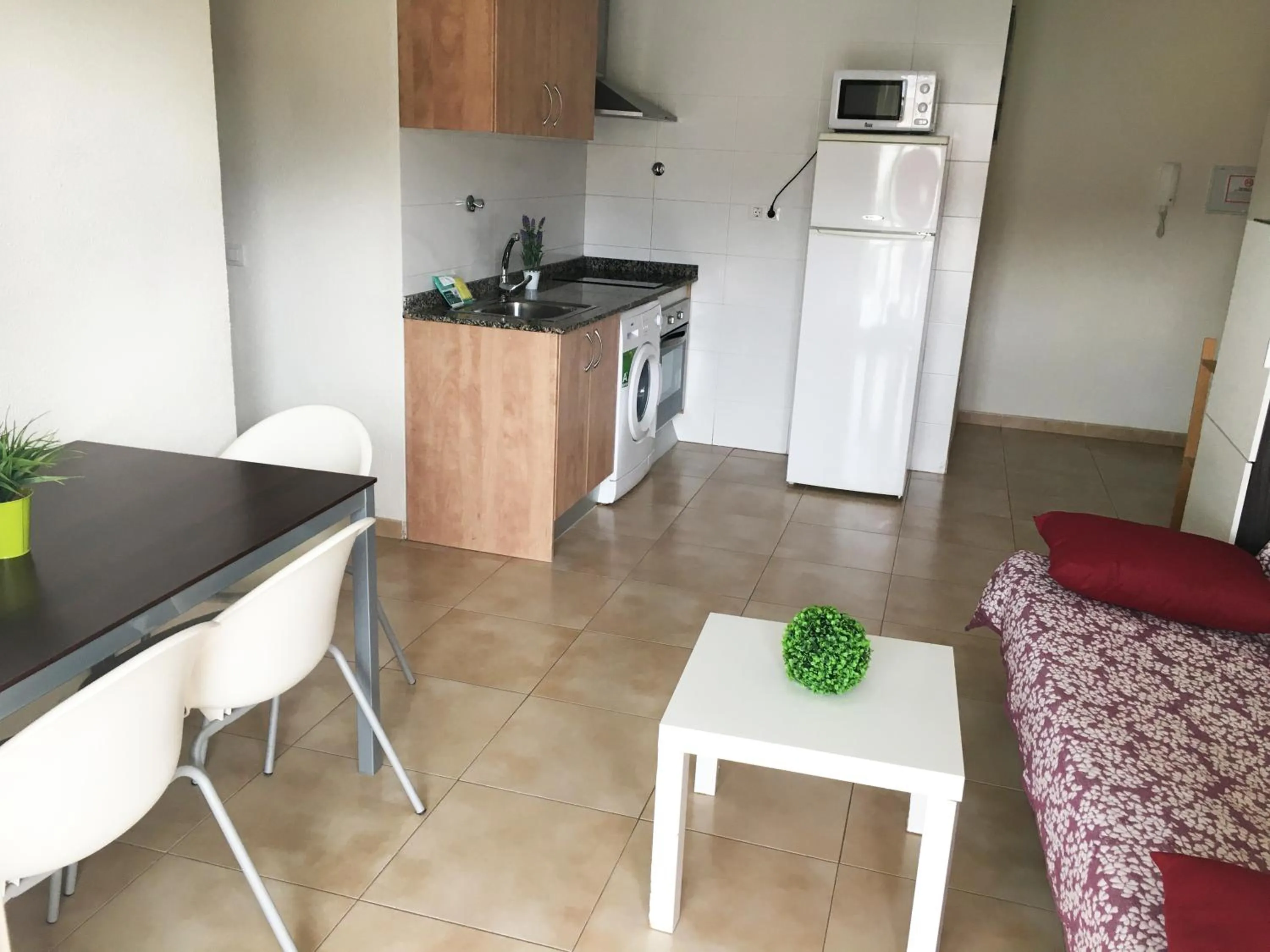 Kitchen or kitchenette in Apartamentos Doña Carmen 3000