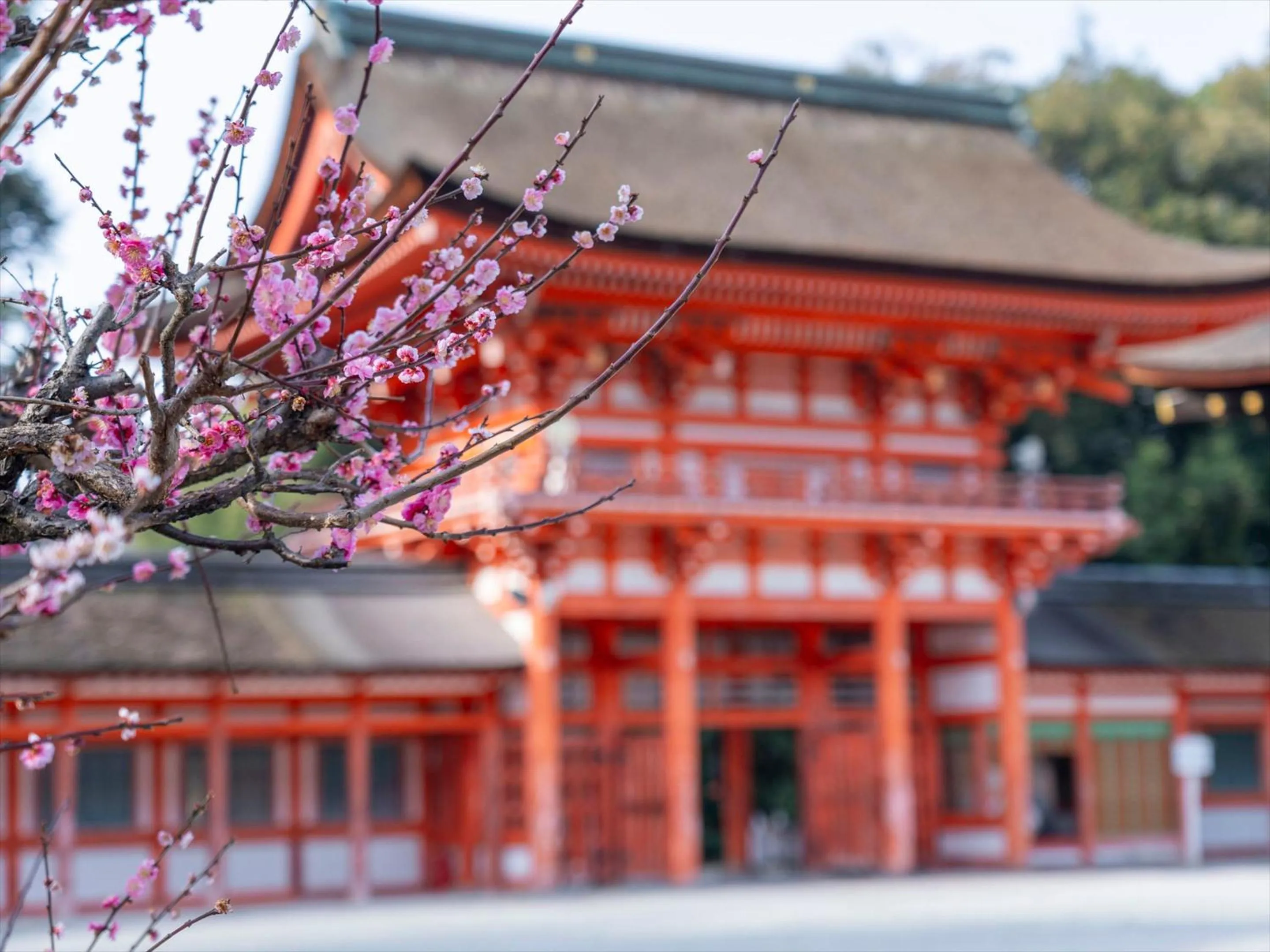 Nearby landmark in nol kyoto sanjo