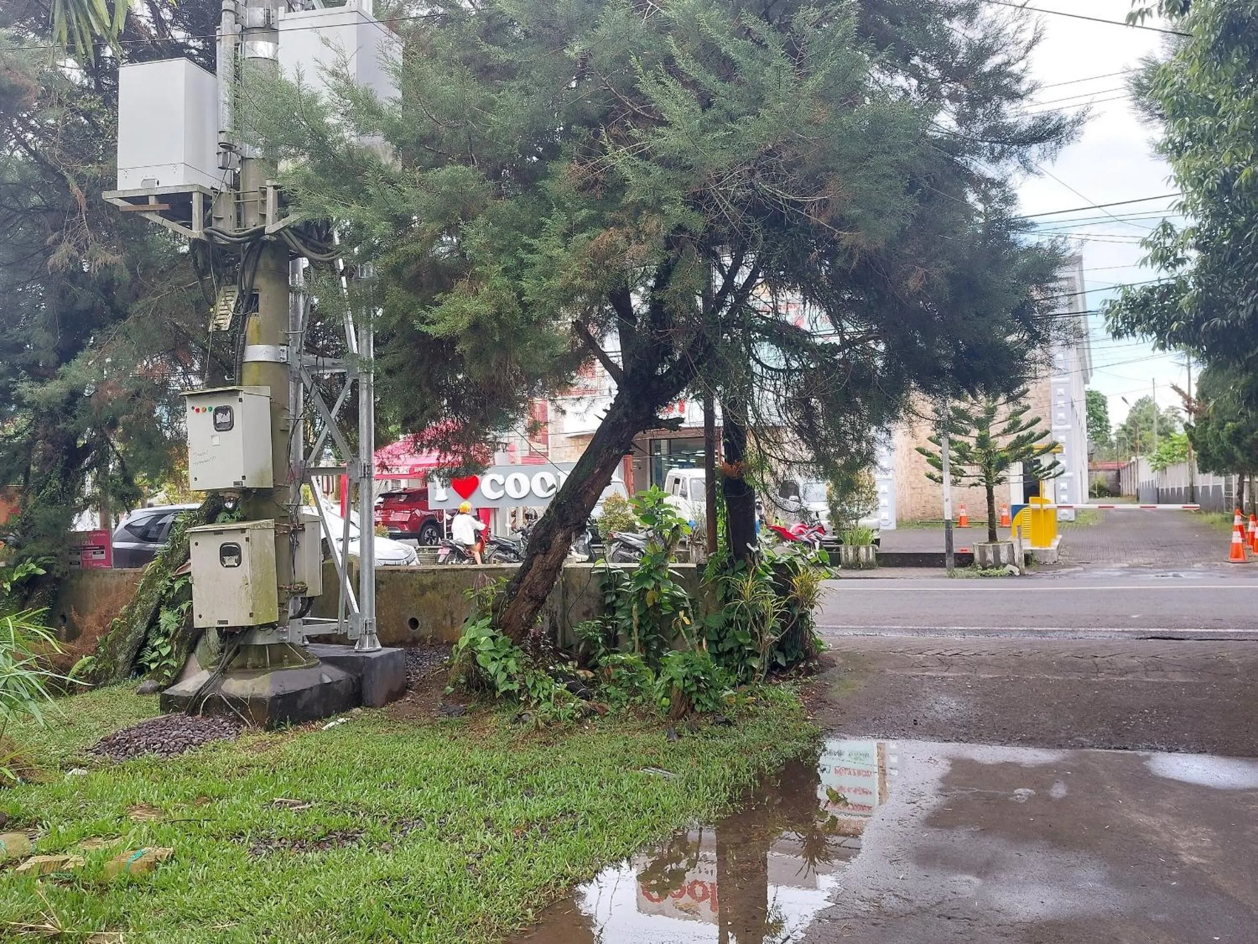 Facade/entrance in Mountain View Homestay