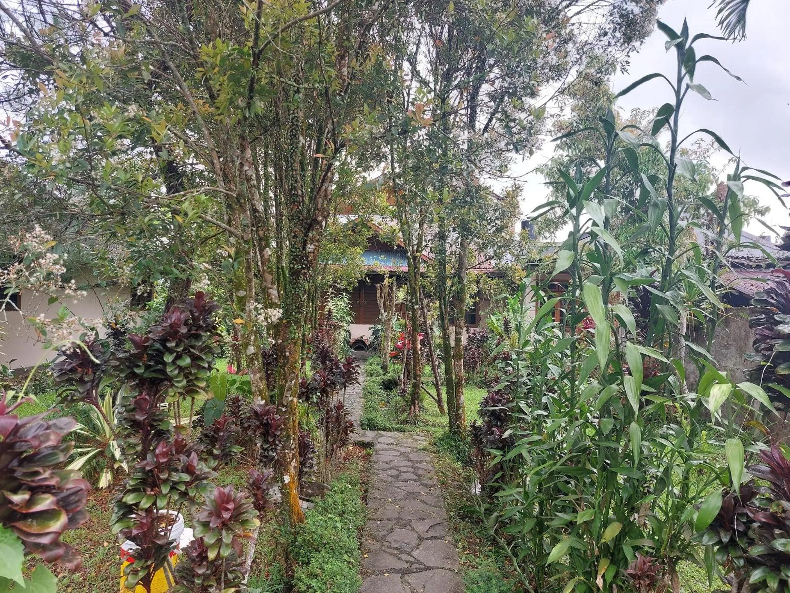 Garden in Mountain View Homestay