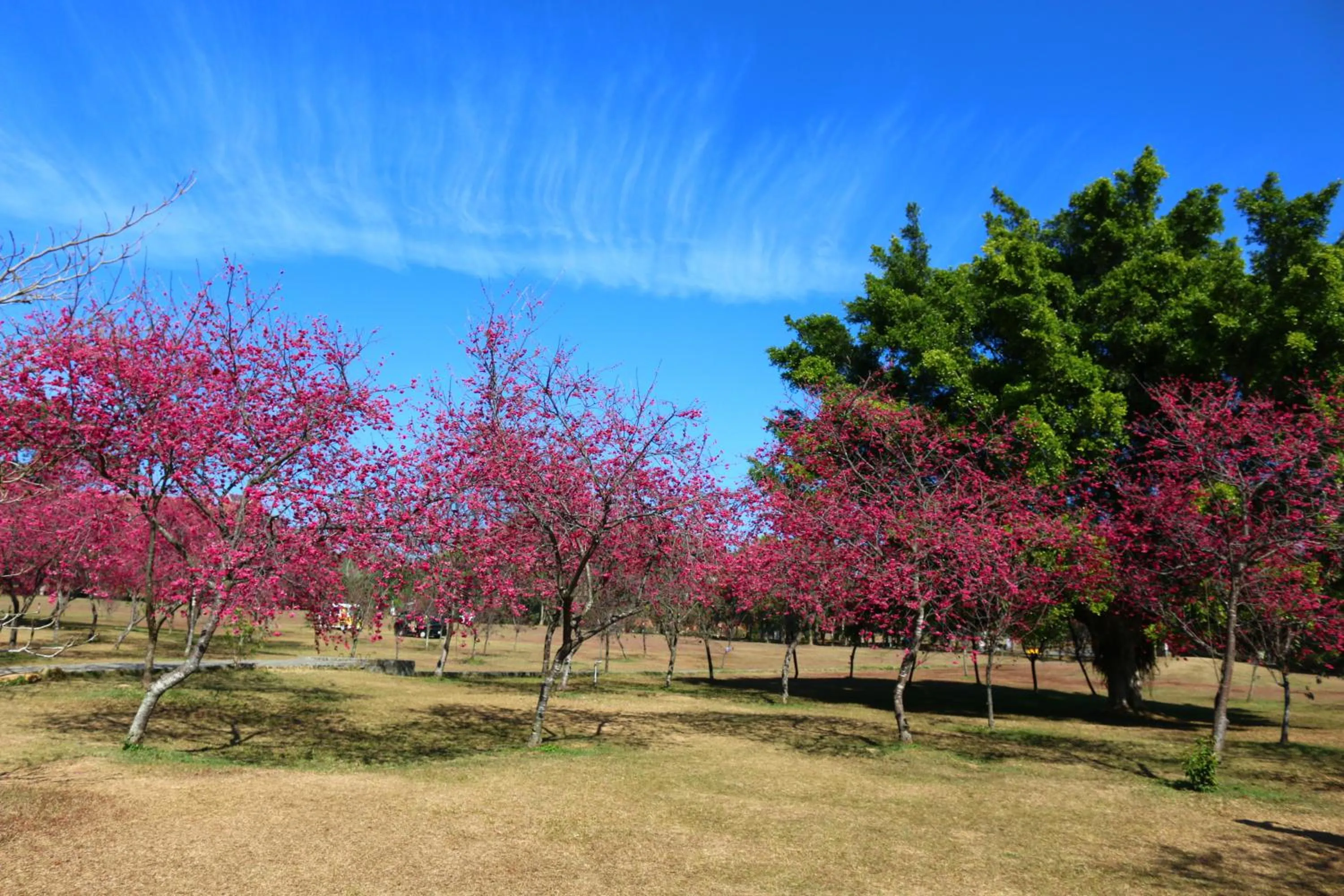 Nearby landmark in Bear Meets Moose Homestay B&B