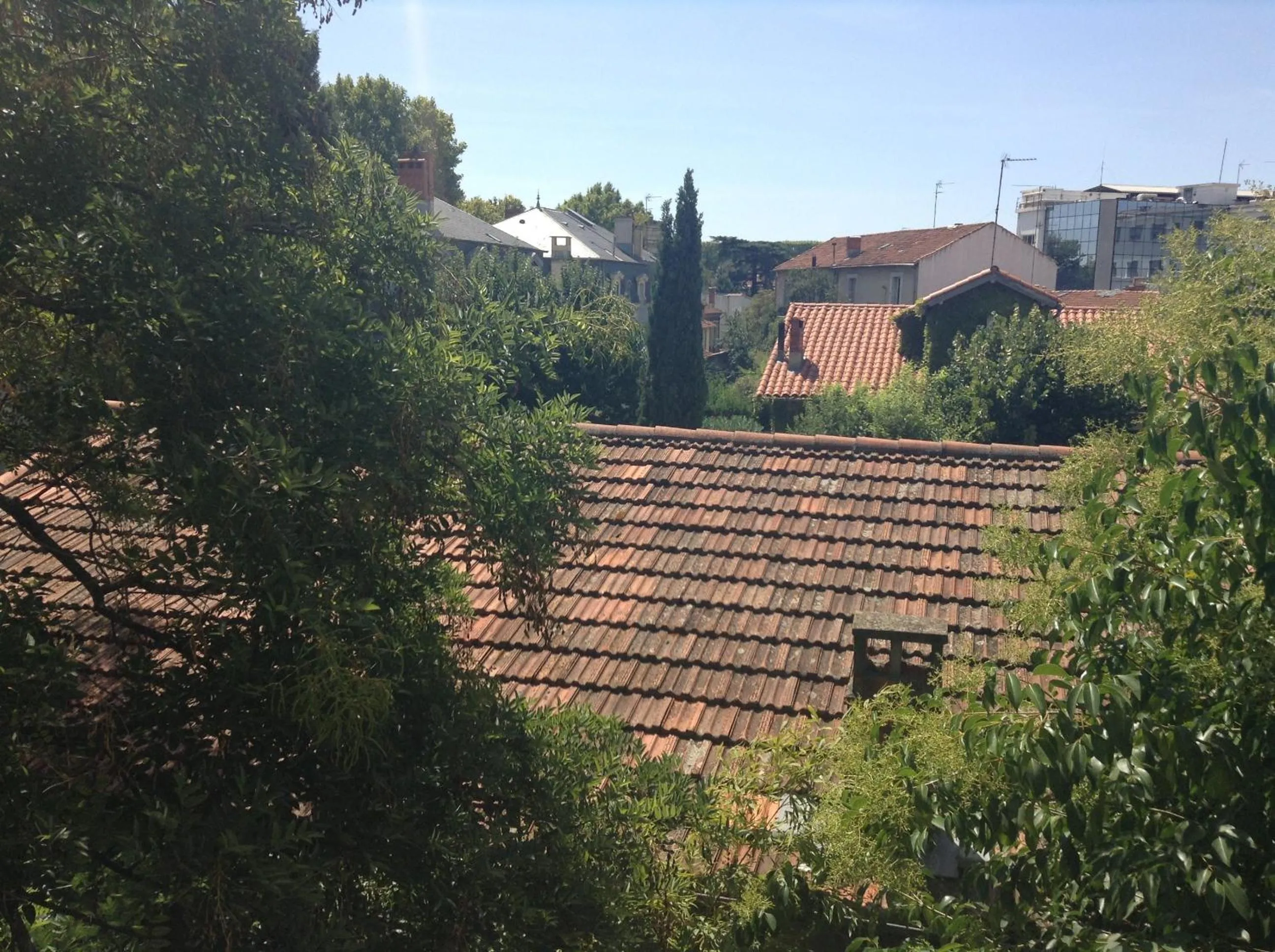 Other in Hotel Acapulco