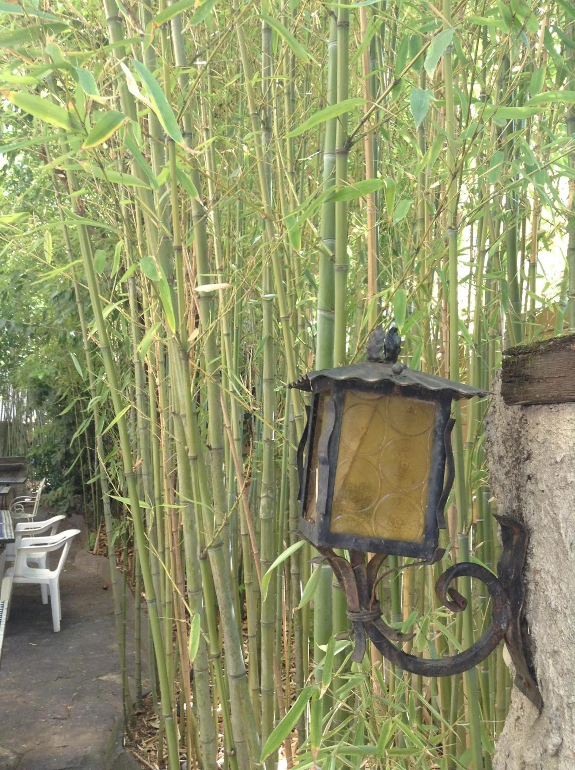 Other in Hotel Acapulco