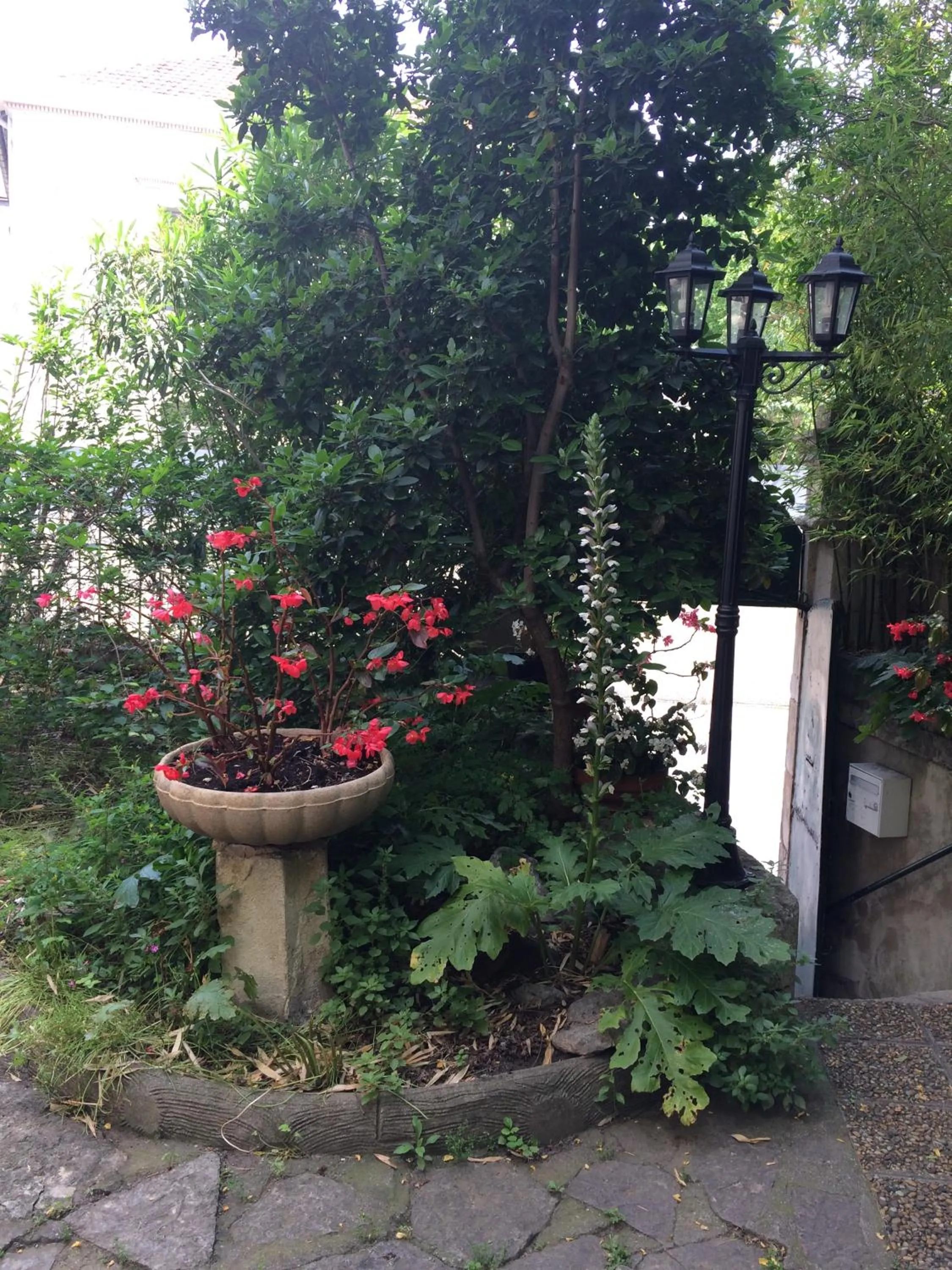 Spring in Hotel Acapulco