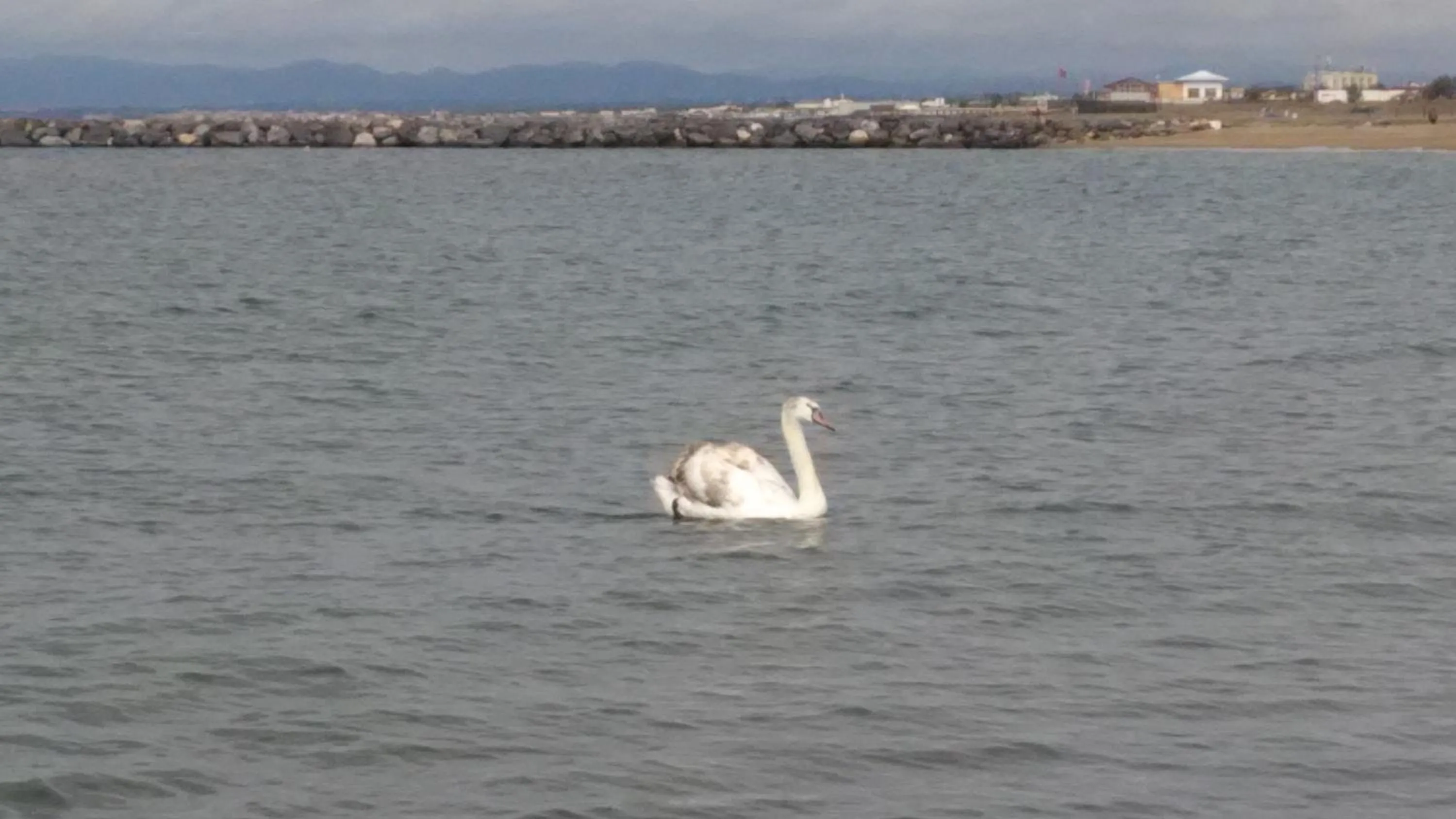Nearby landmark in Le Stelline B&B